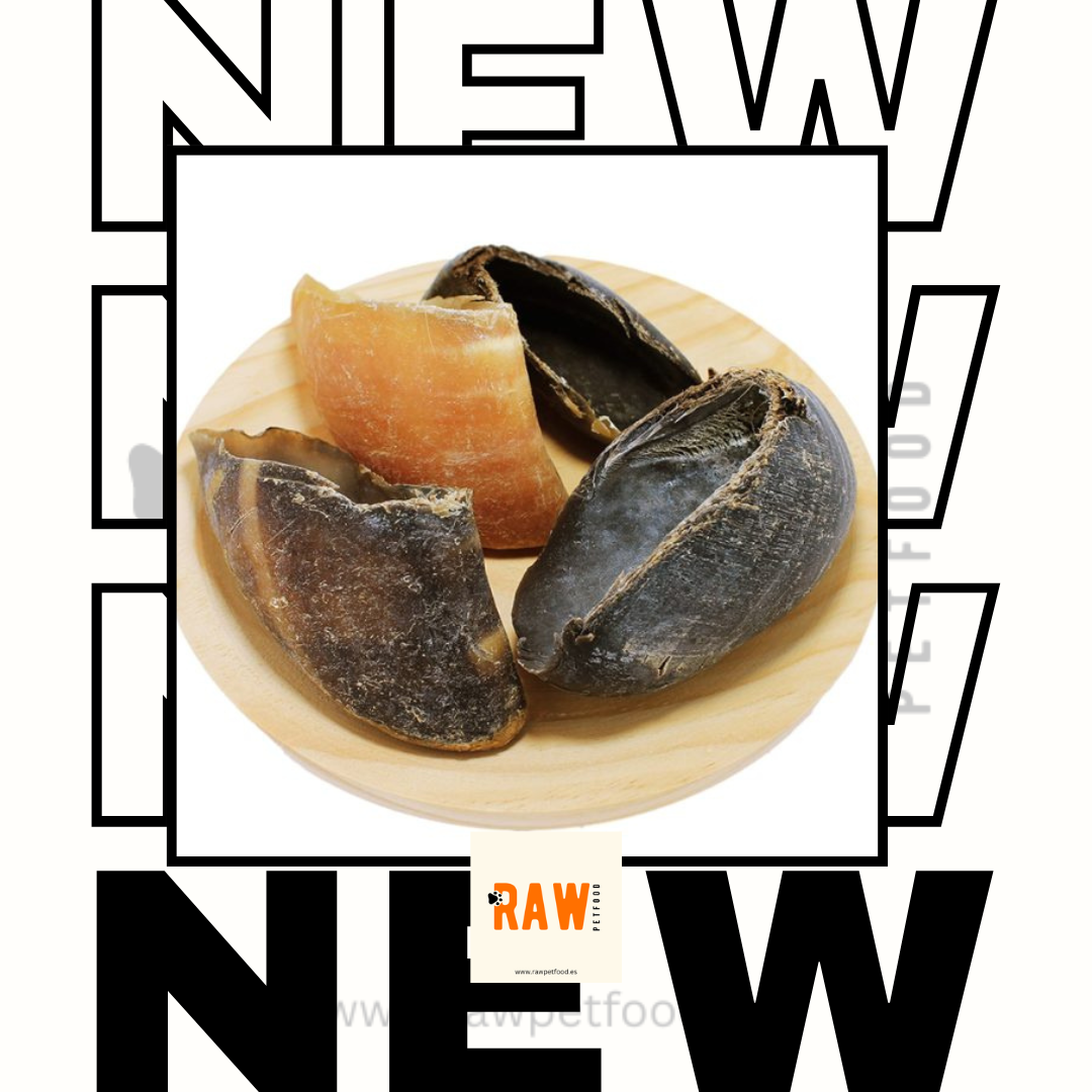 Dehydrated Calf Hooves 2pc