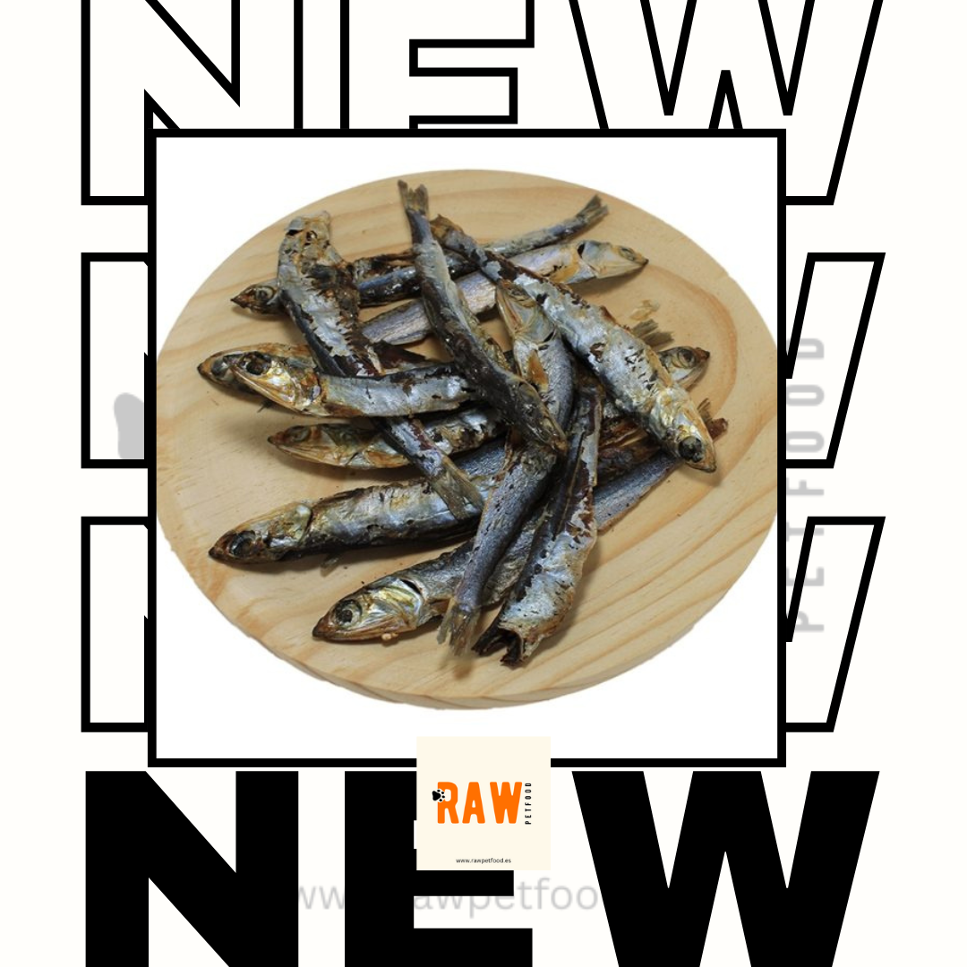 Dehydrated anchovies