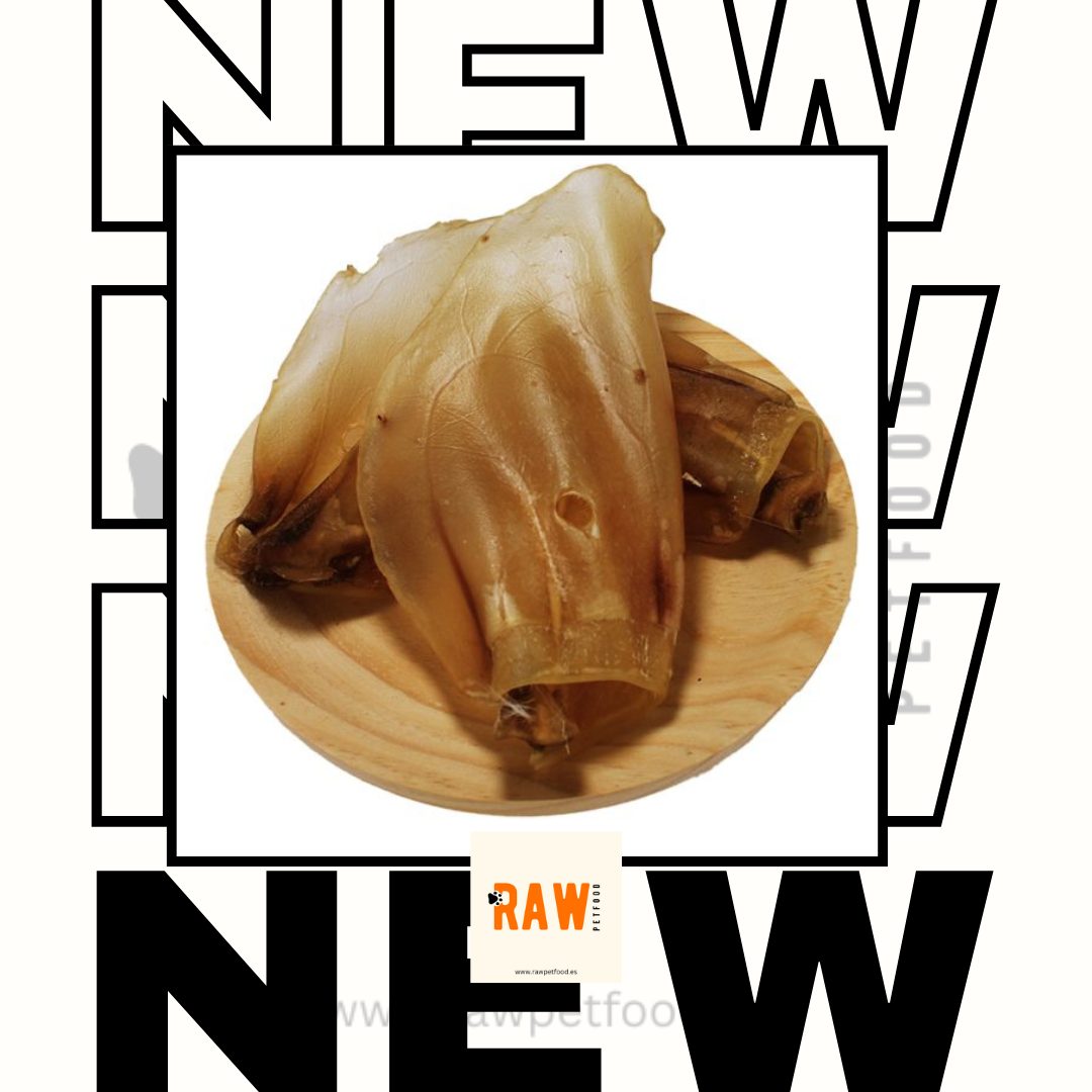 Dehydrated Cows Ear WITHOUT Fur 1pc