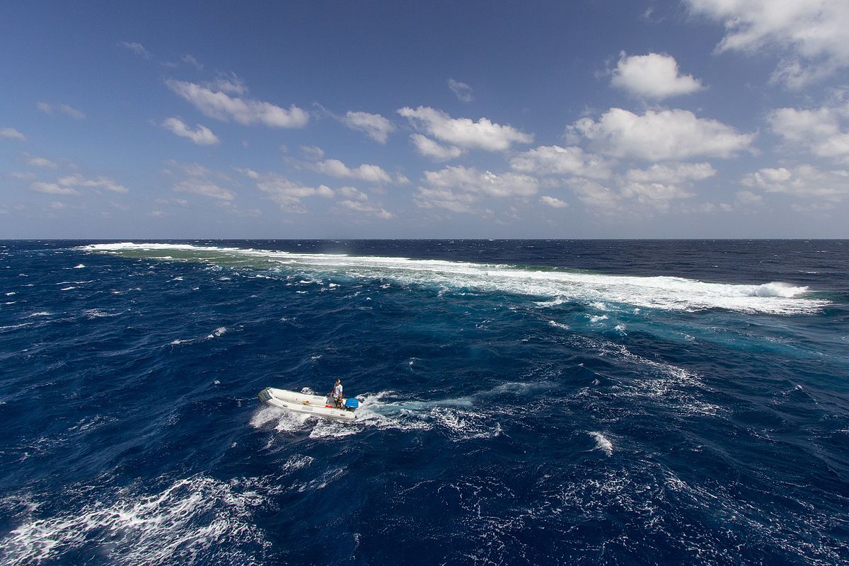 Elphinstone Reef (Zodiac) (National Park Fee)