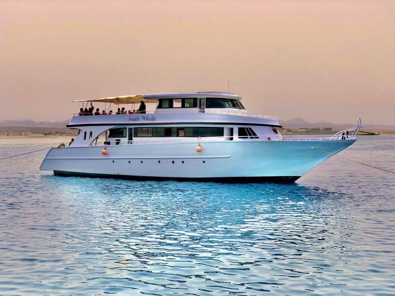 5 DAYS 10 DIVES BY BOAT