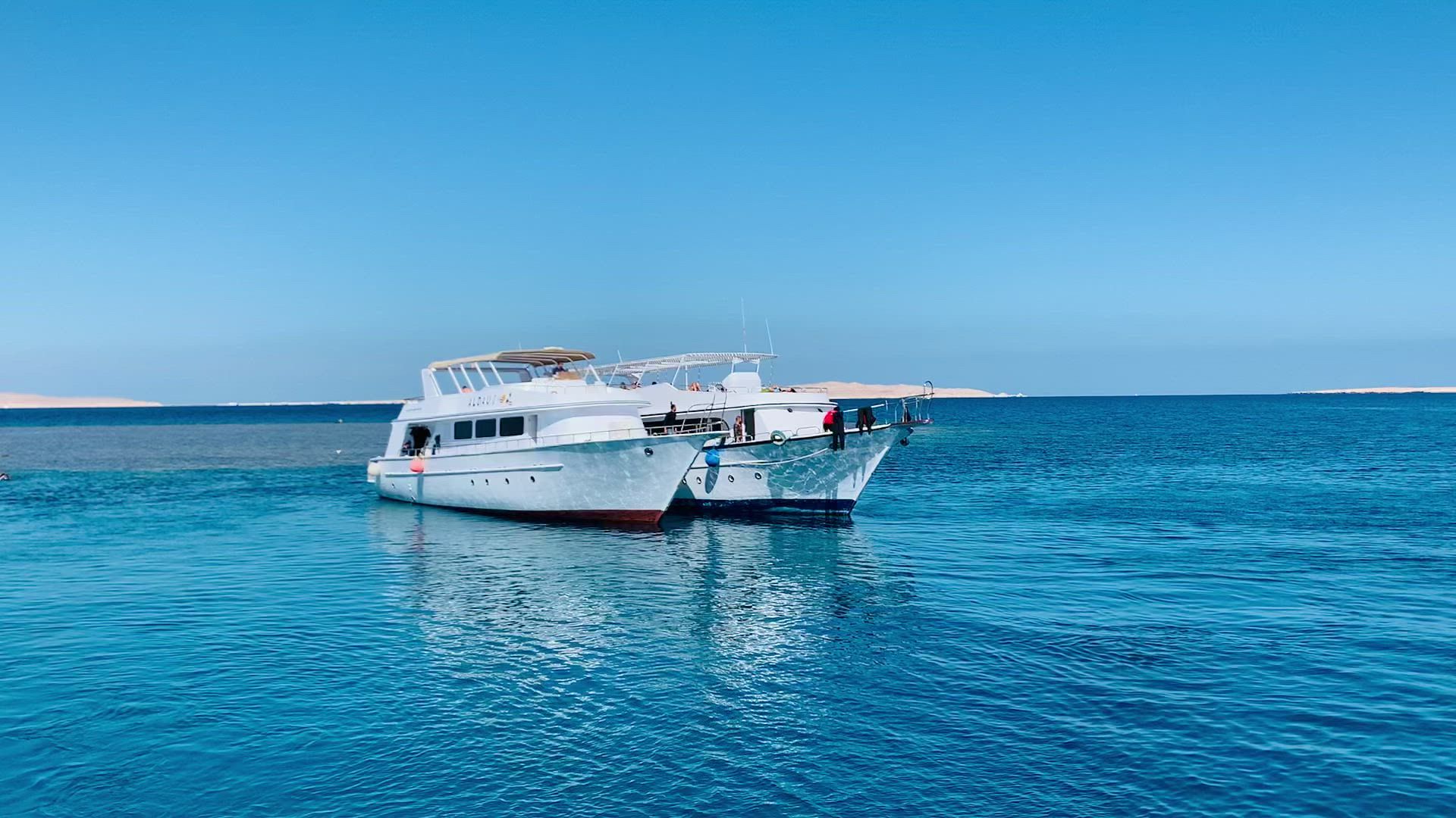 6 DAYS 12 DIVES BY BOAT