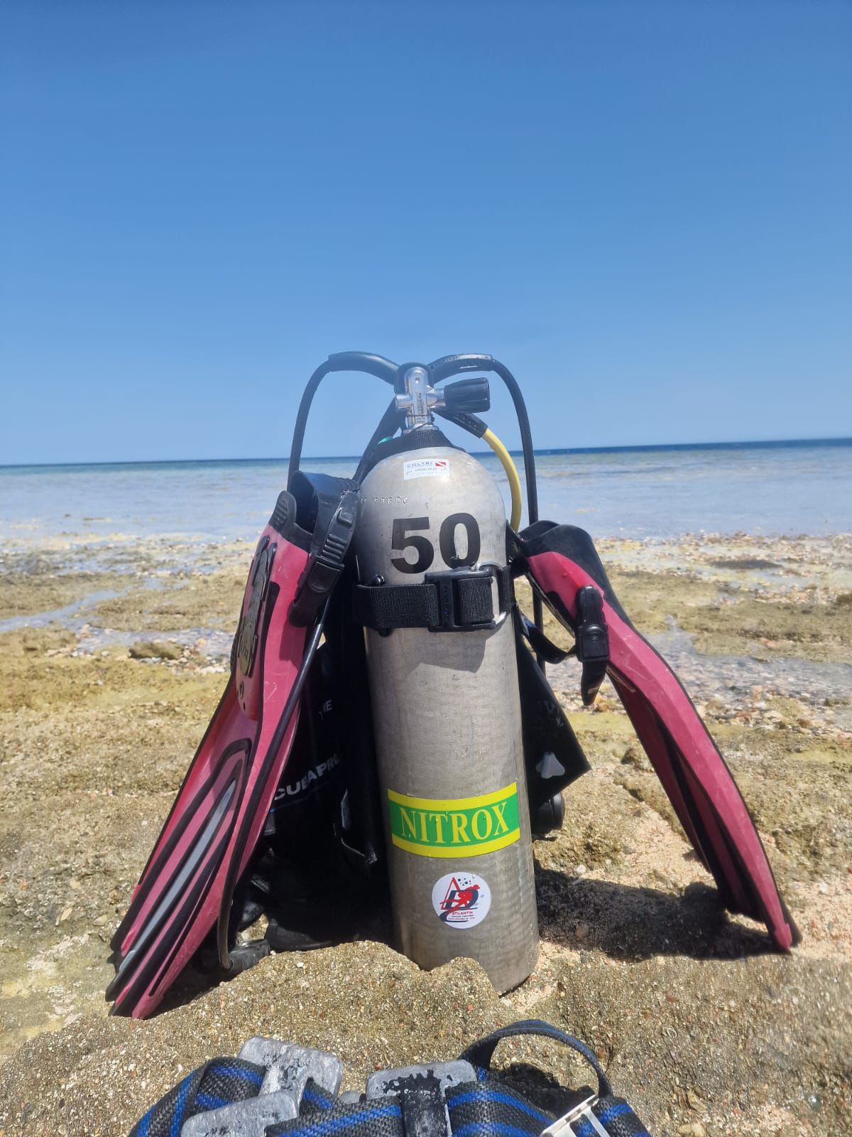 2 DAYS 4 DIVES MINIBUS (SHORE DIVE)
