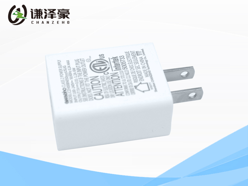 CZH008-8W-US-Direct Plug-in