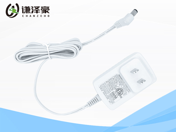 CZH013-13W-US- Horizontal Plug