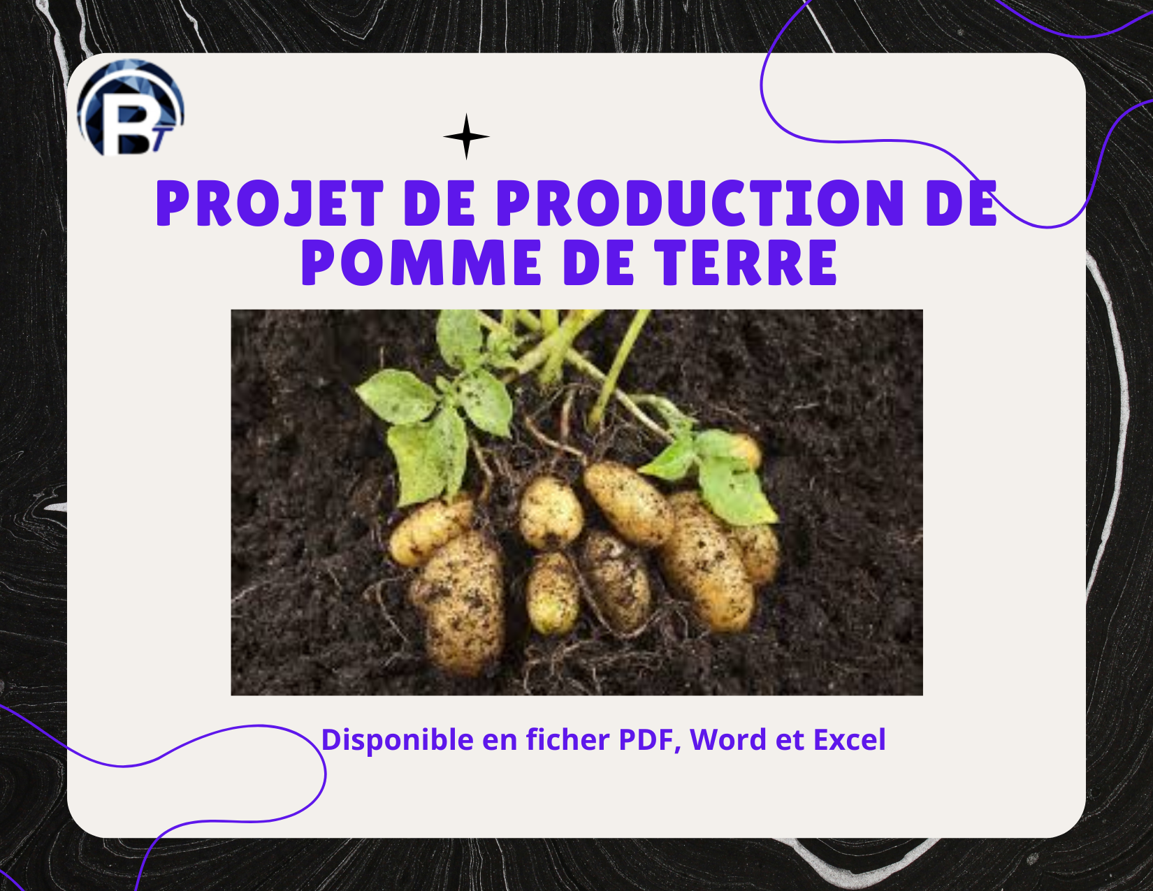 PRODUCTION DE POMME DE TERRE 