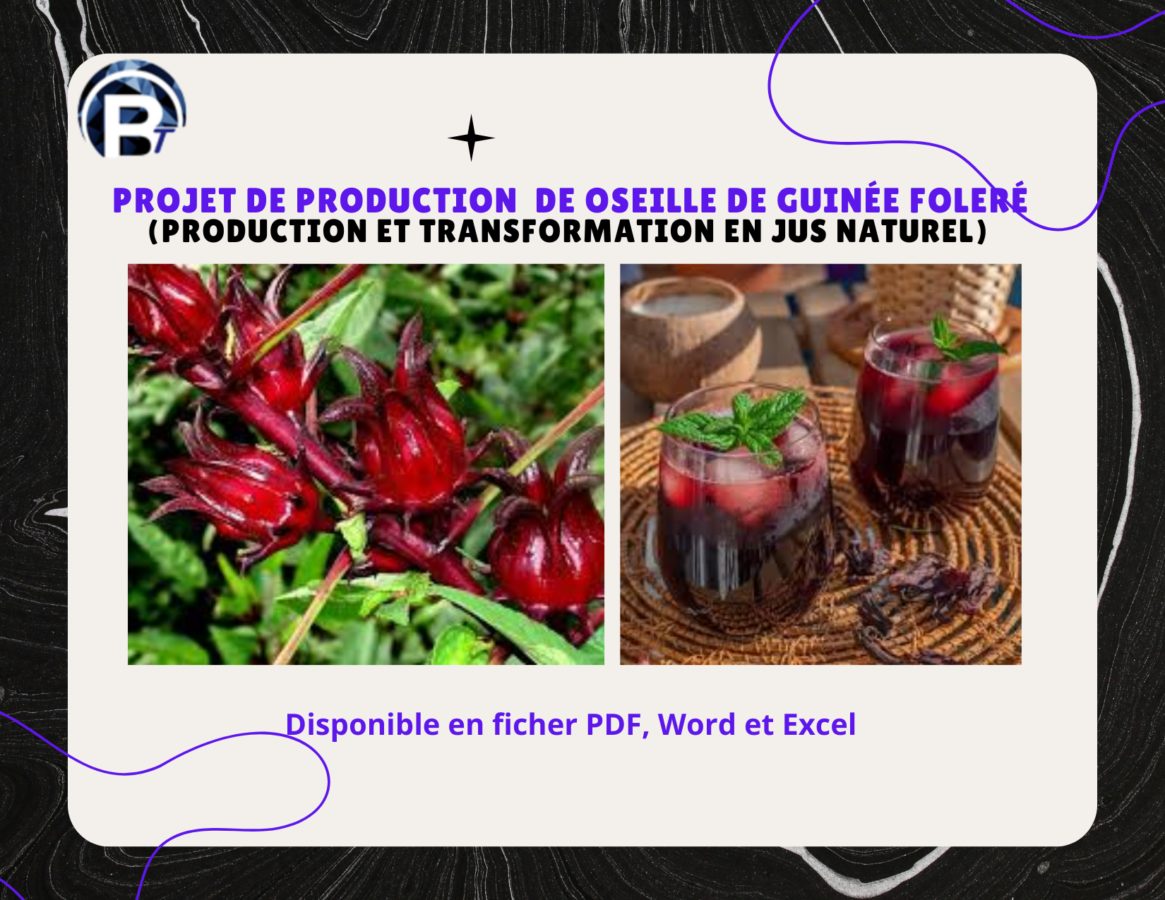 PLAN OPERATIONNEL POUR LA CREATION ET LA GESTION D’UNE UNITE AGROALIMENTAIRE POUR LA PRODUCTION ET LA TRANSFORMATION DE L’OSEILLE DE GUINEE EN JUS NATUREL