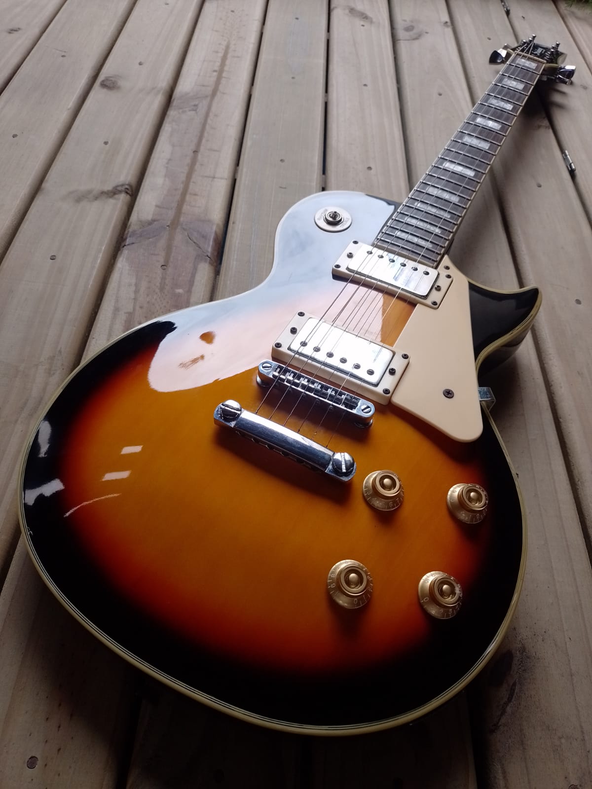 Guitarra Les Paul Strinberg CLP79