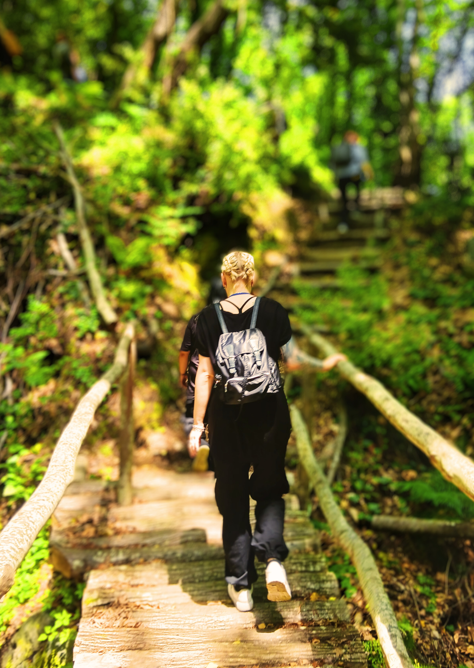 Herbal Walk at Your Destination