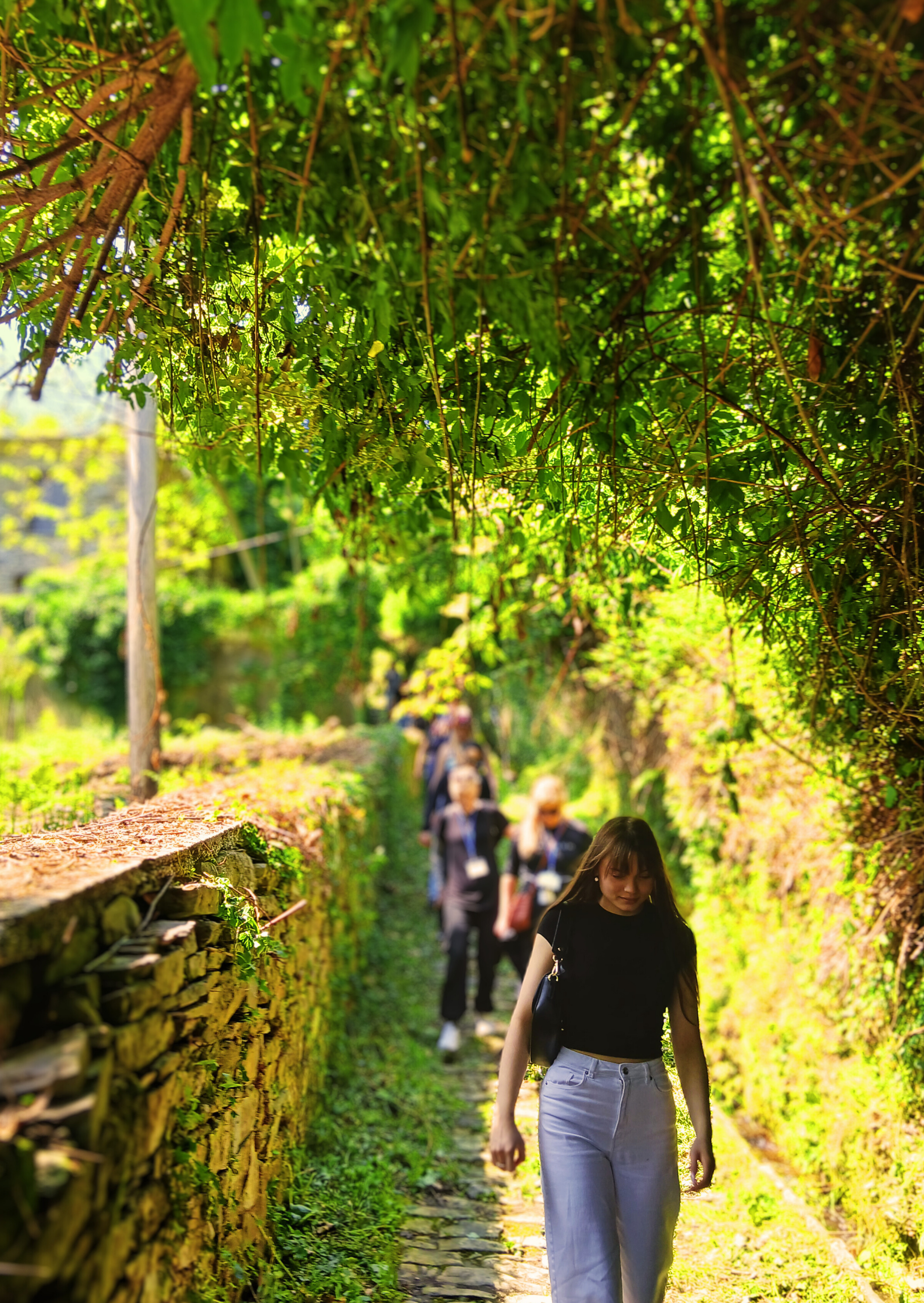 Herbal Walk at Your Destination