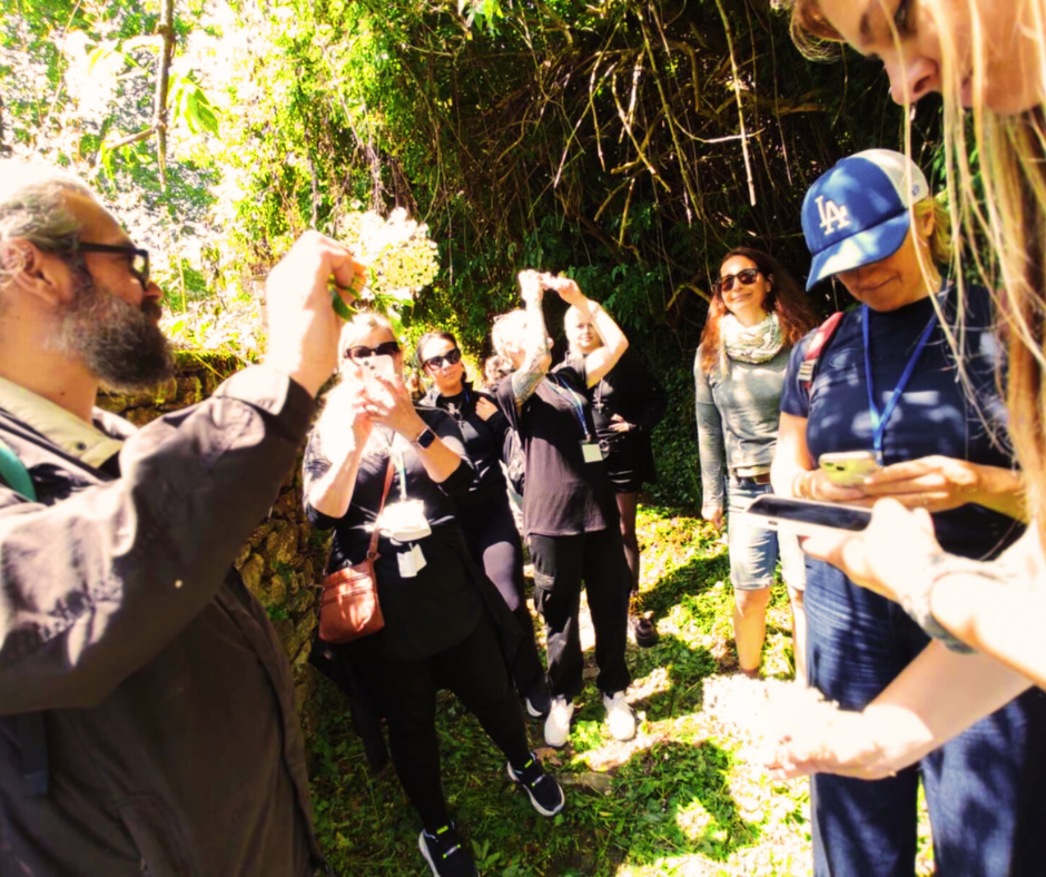 Tsagkarada Herbal Walk