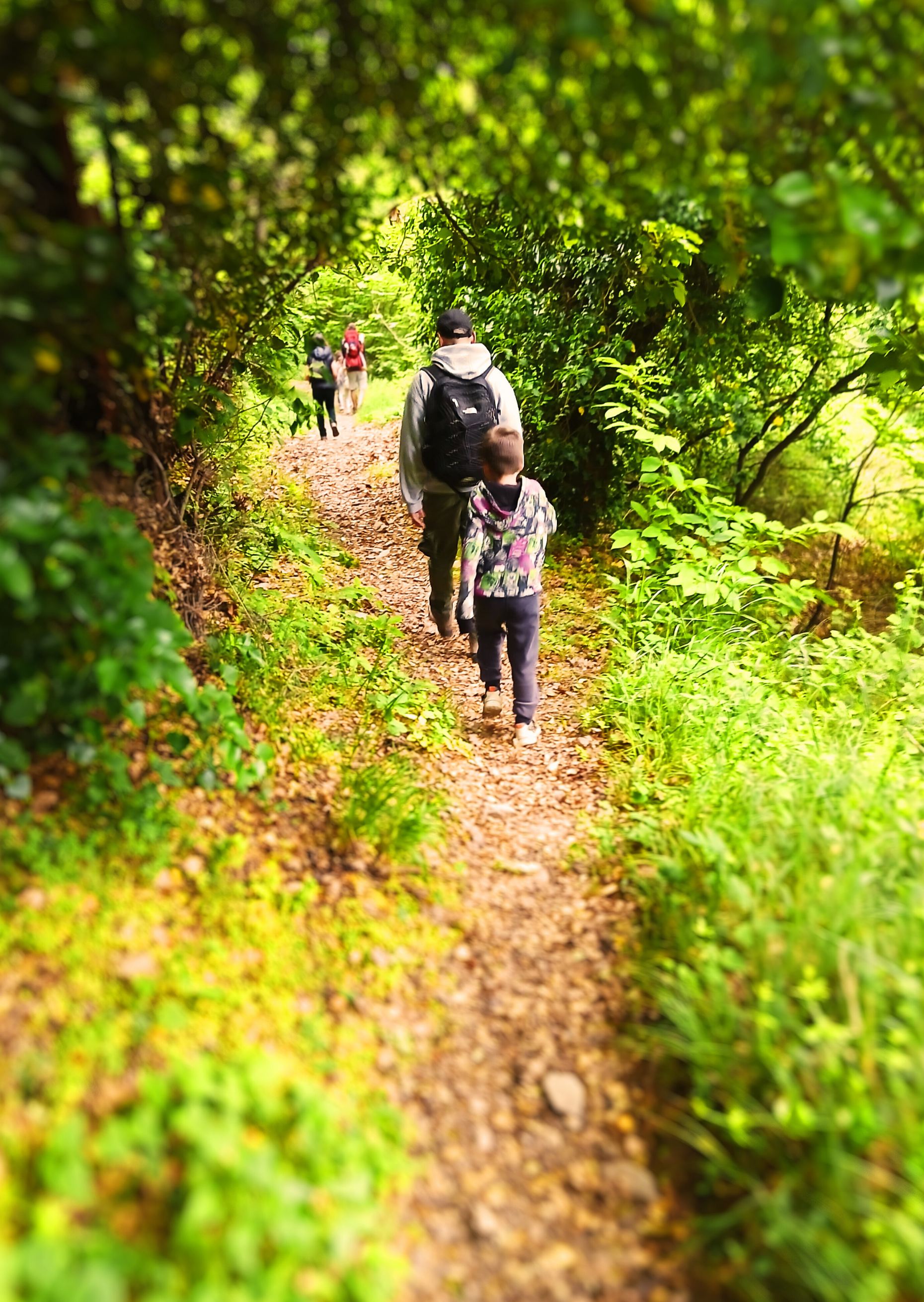 Herbal Walk at Your Destination