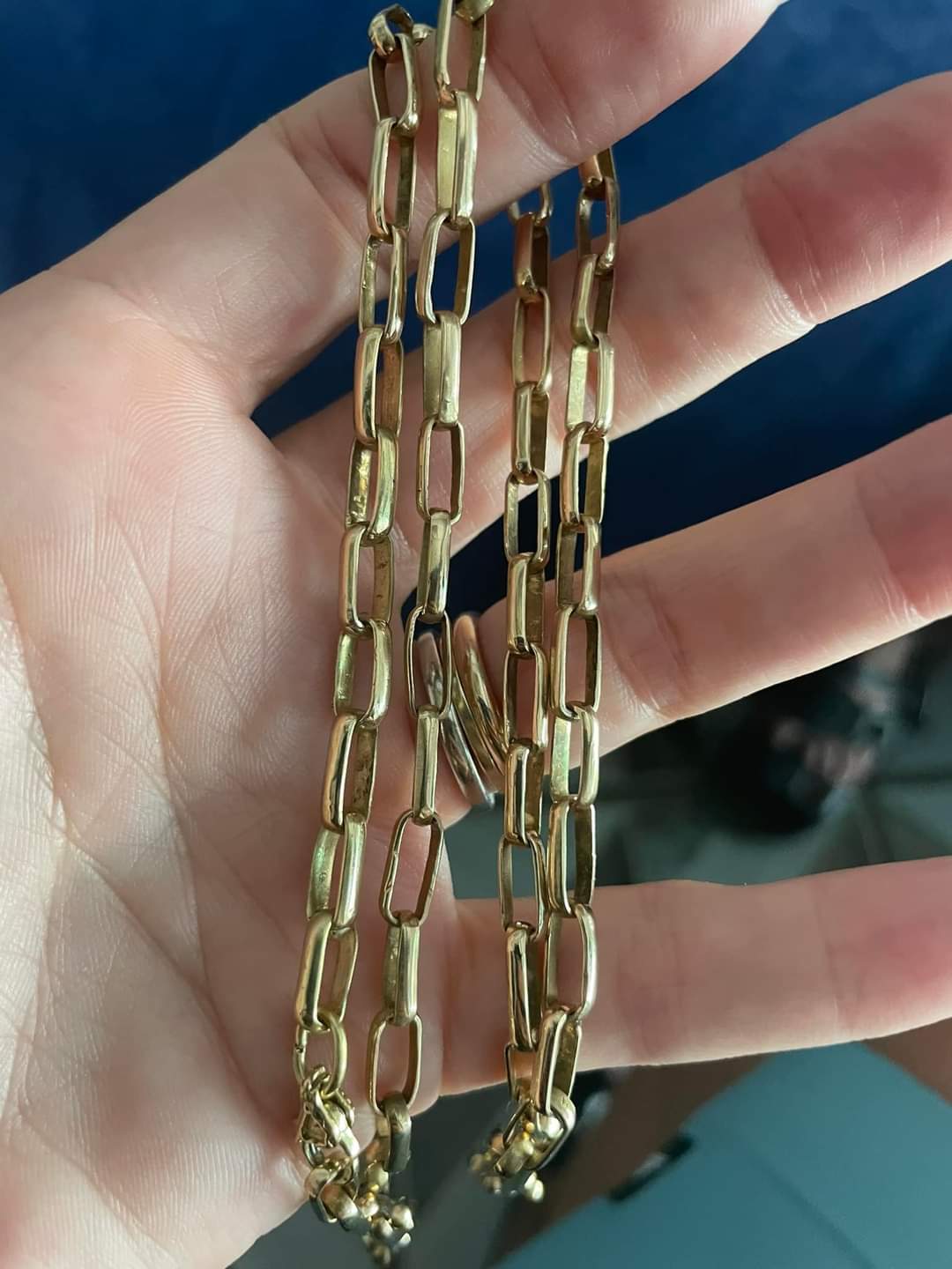Stainless Steel Gold-Toned Elongated Link Chain Necklace