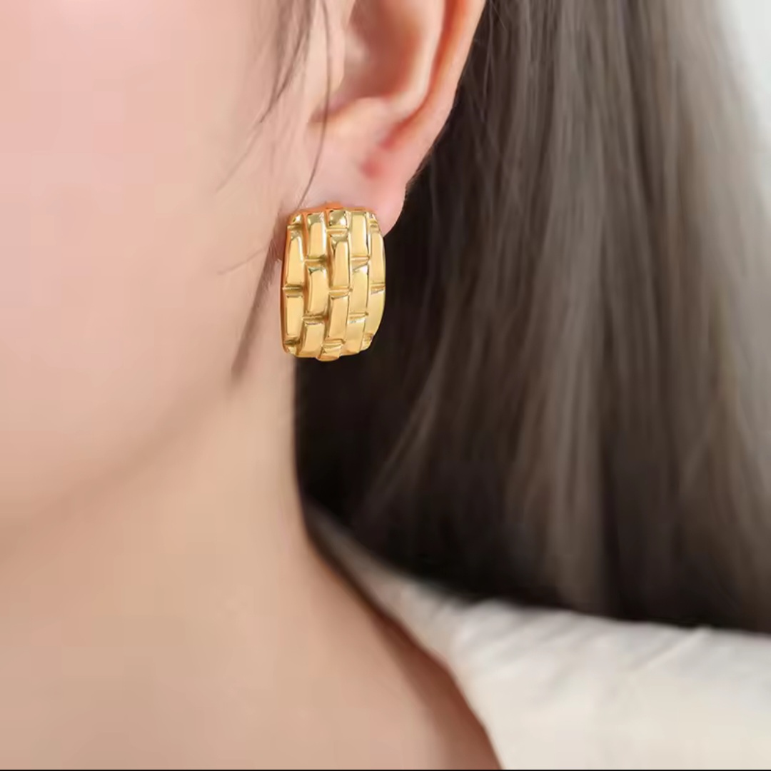 Regal Gold-Plated Mesh Earrings