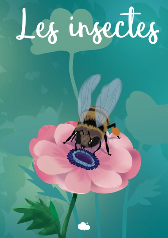 Coffret fabrication : Les Insectes