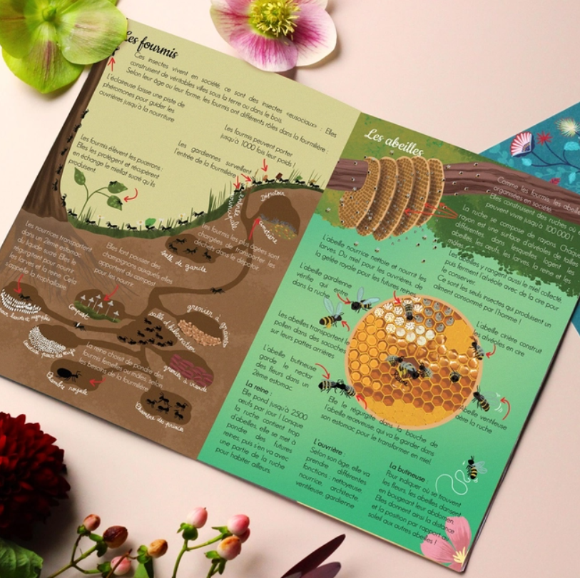 Coffret fabrication : Les Insectes