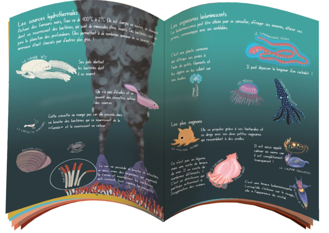 Coffret fabrication : Au fond des océans