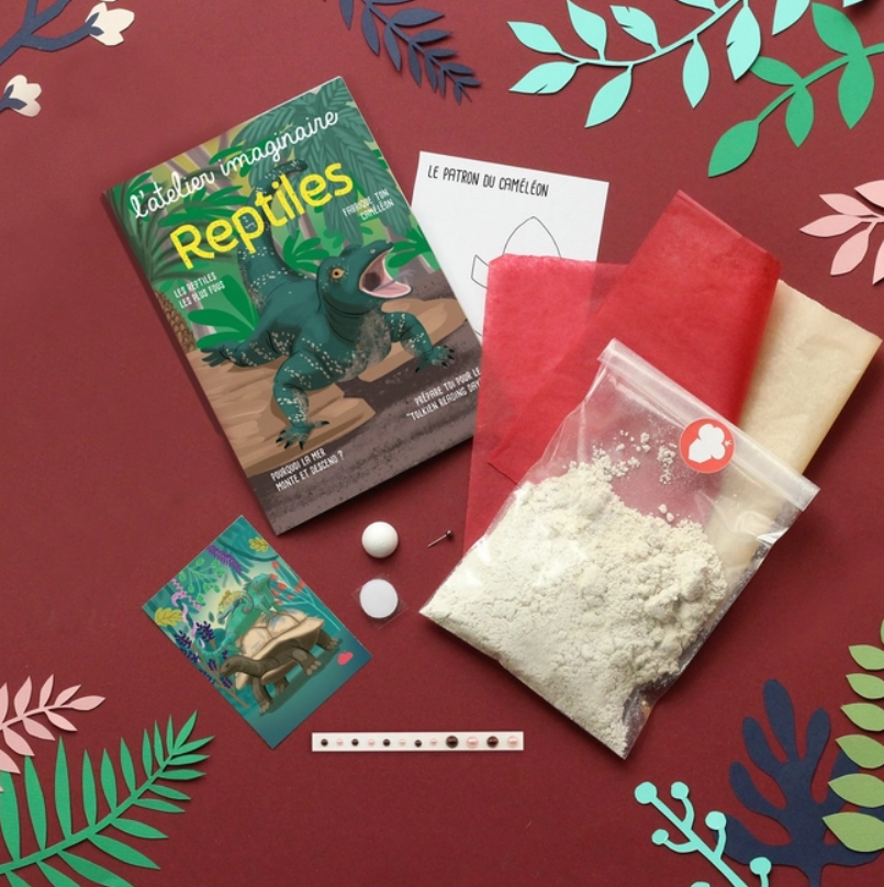 Coffret fabrication : Reptiles