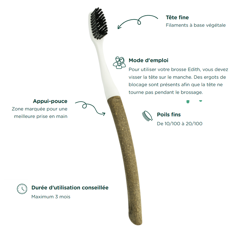 Brosse à dents - Lin