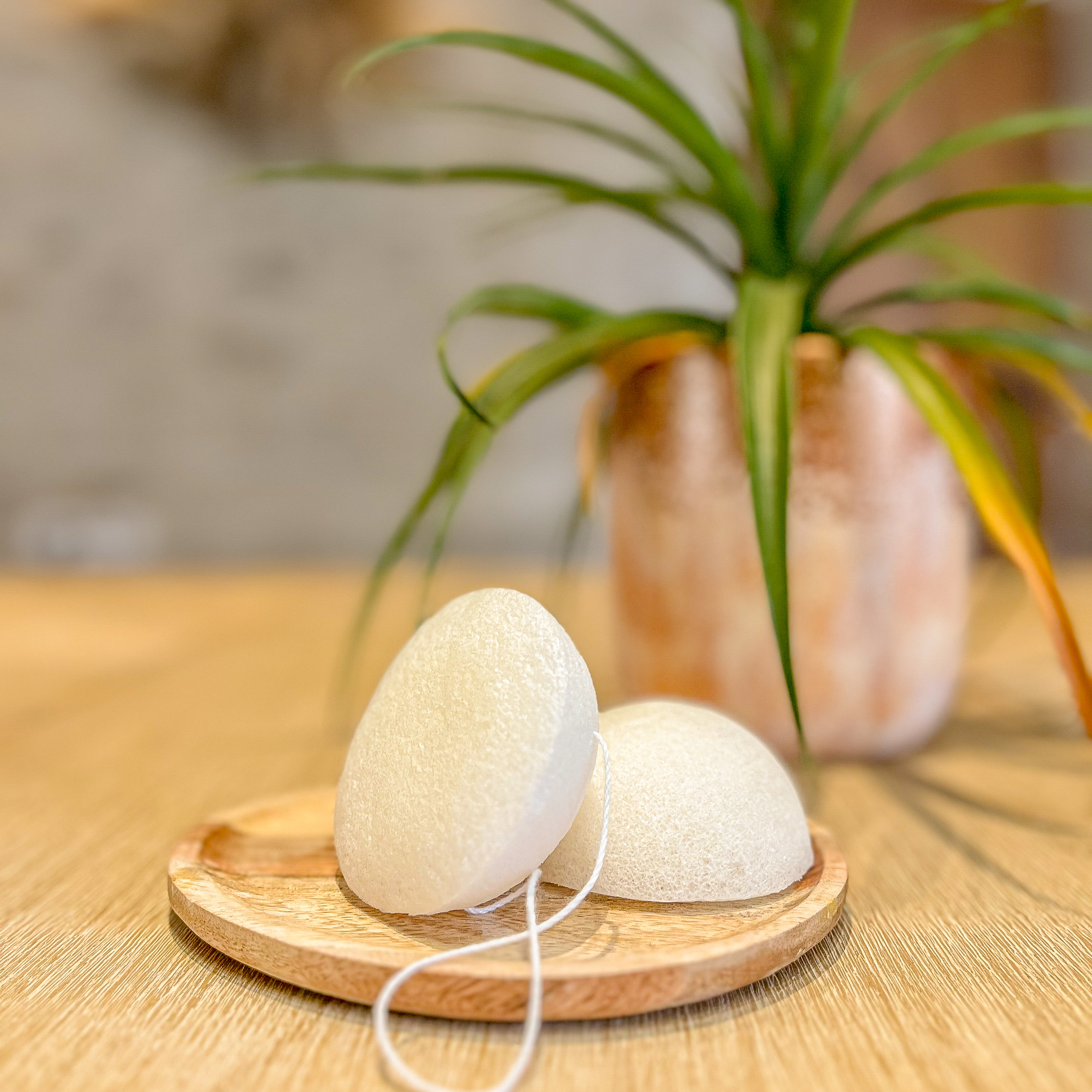 Eponge de Konjac