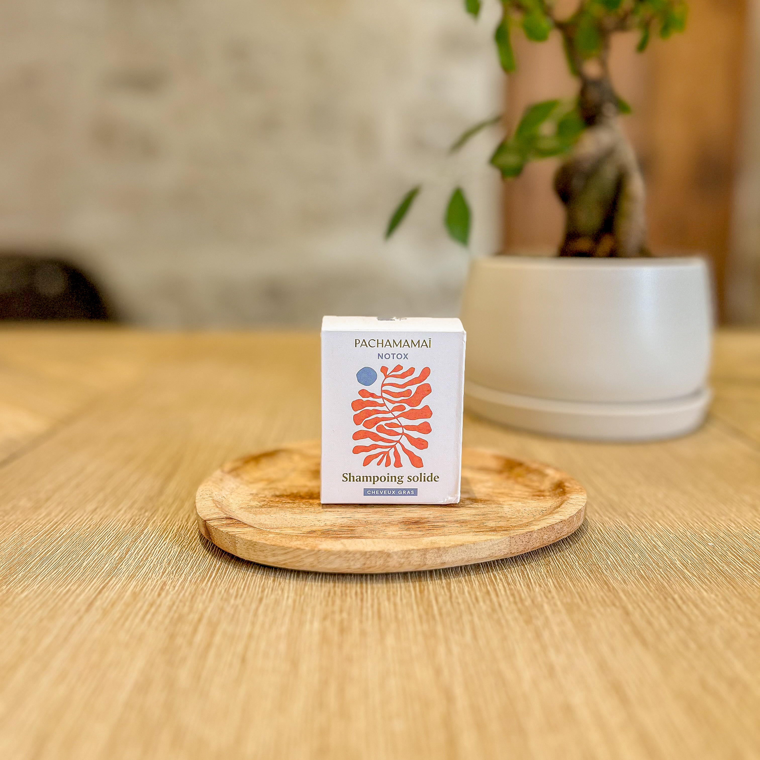 Shampoing Notox - Cheveux gras