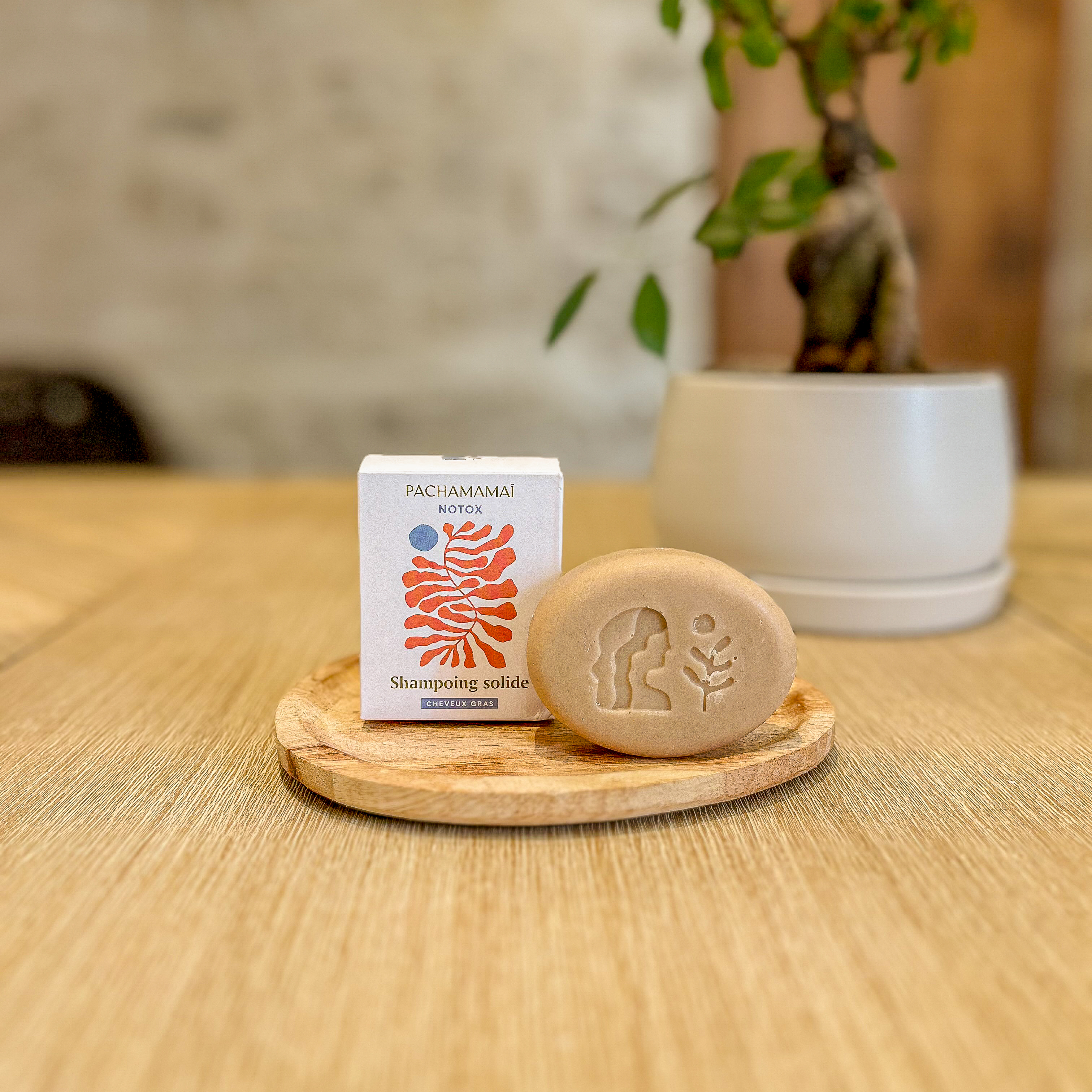Shampoing Notox - Cheveux gras