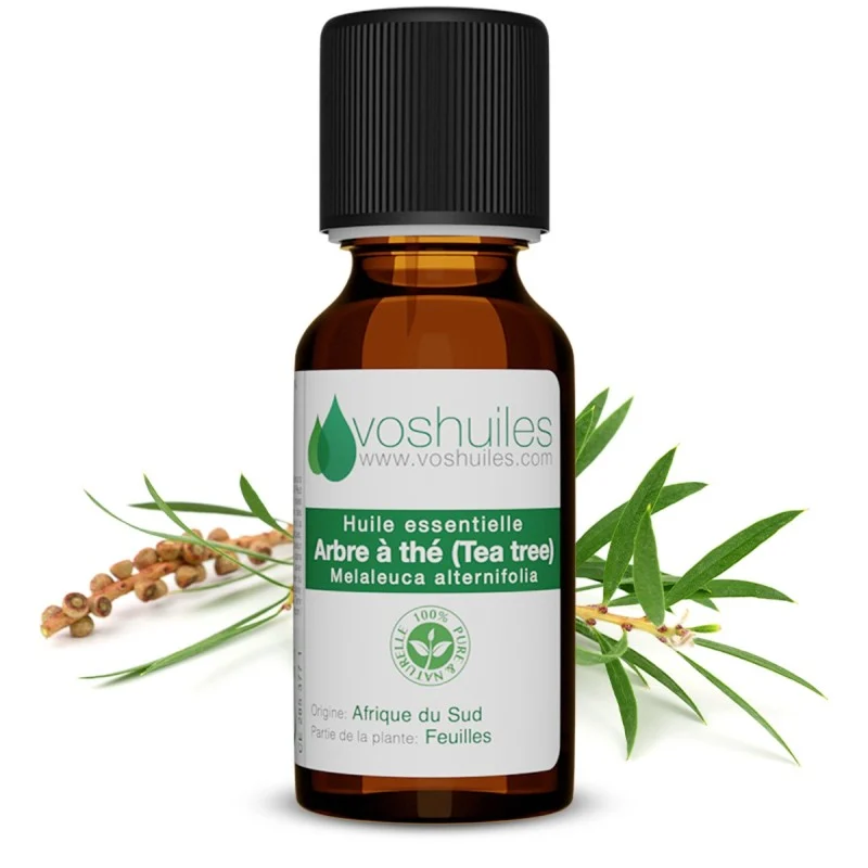 Huile essentielle d'arbre à thé (tea tree)