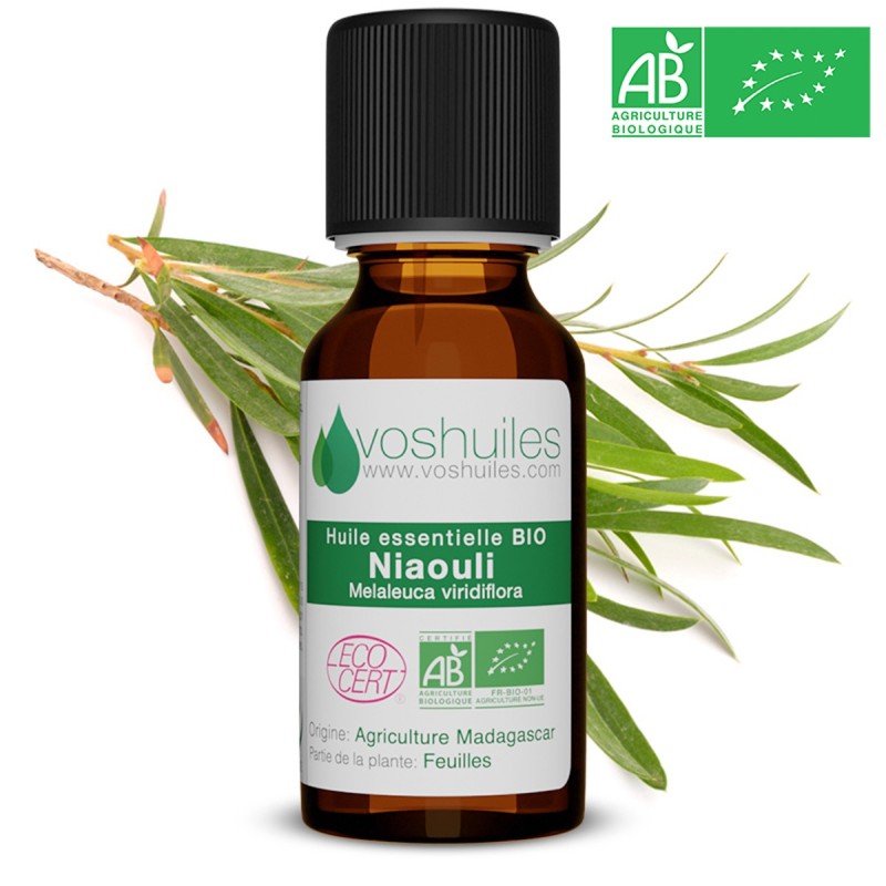 Huile essentielle BIO de Niaouli