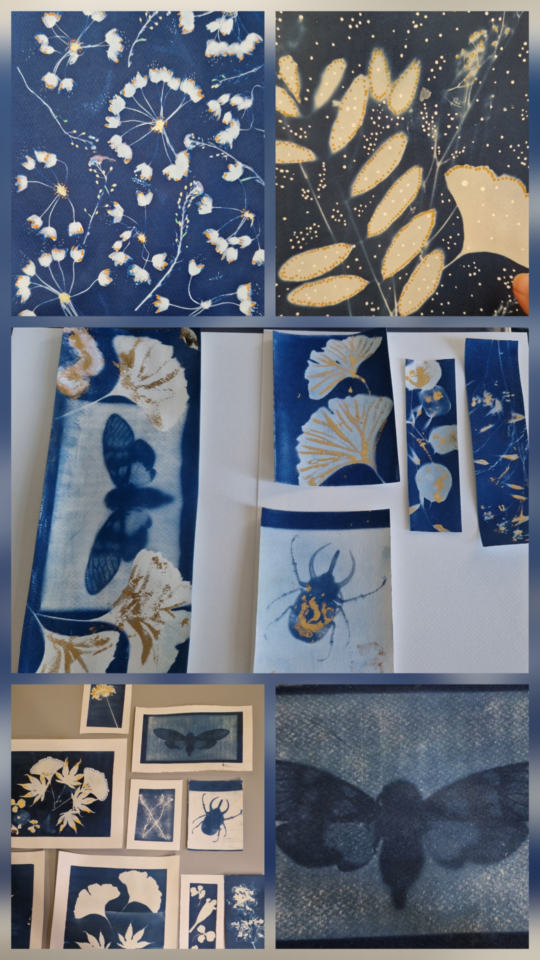 Atelier Cyanotype : Nature en Bleu