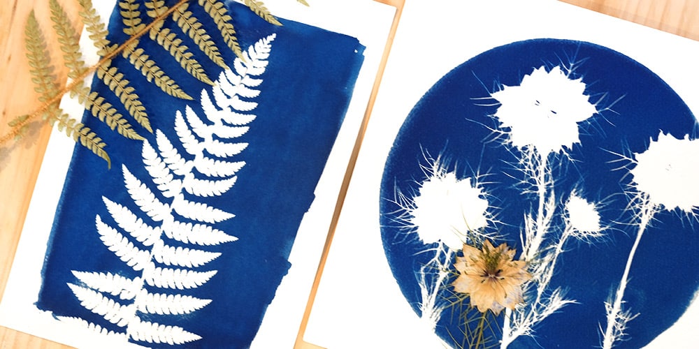 Atelier Cyanotype : Nature en Bleu