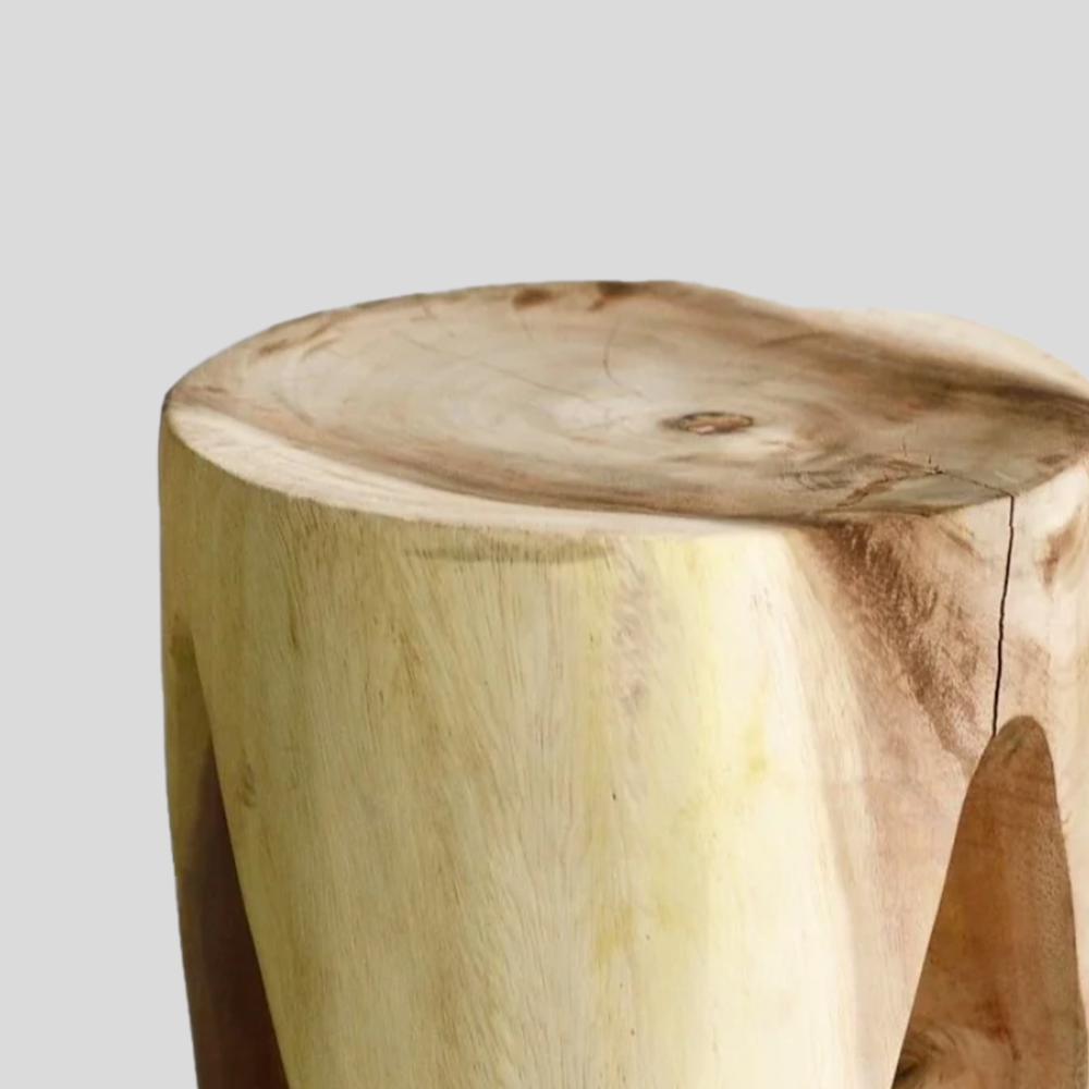 Suar Wood Stool | Tree Stump Side Table & Log Chair