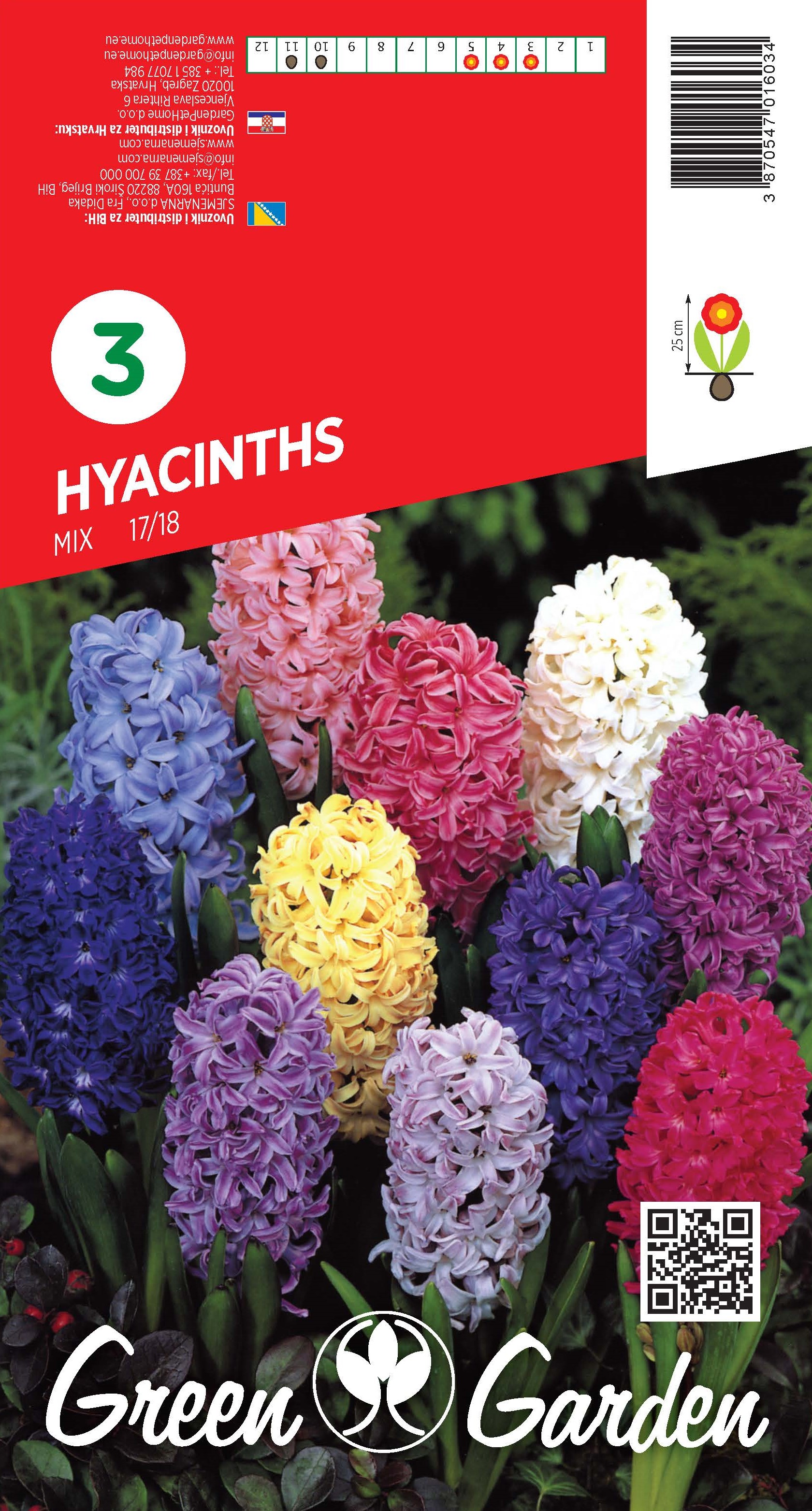 TULIPAN - BALLADE 11/12 BR.LUK.8