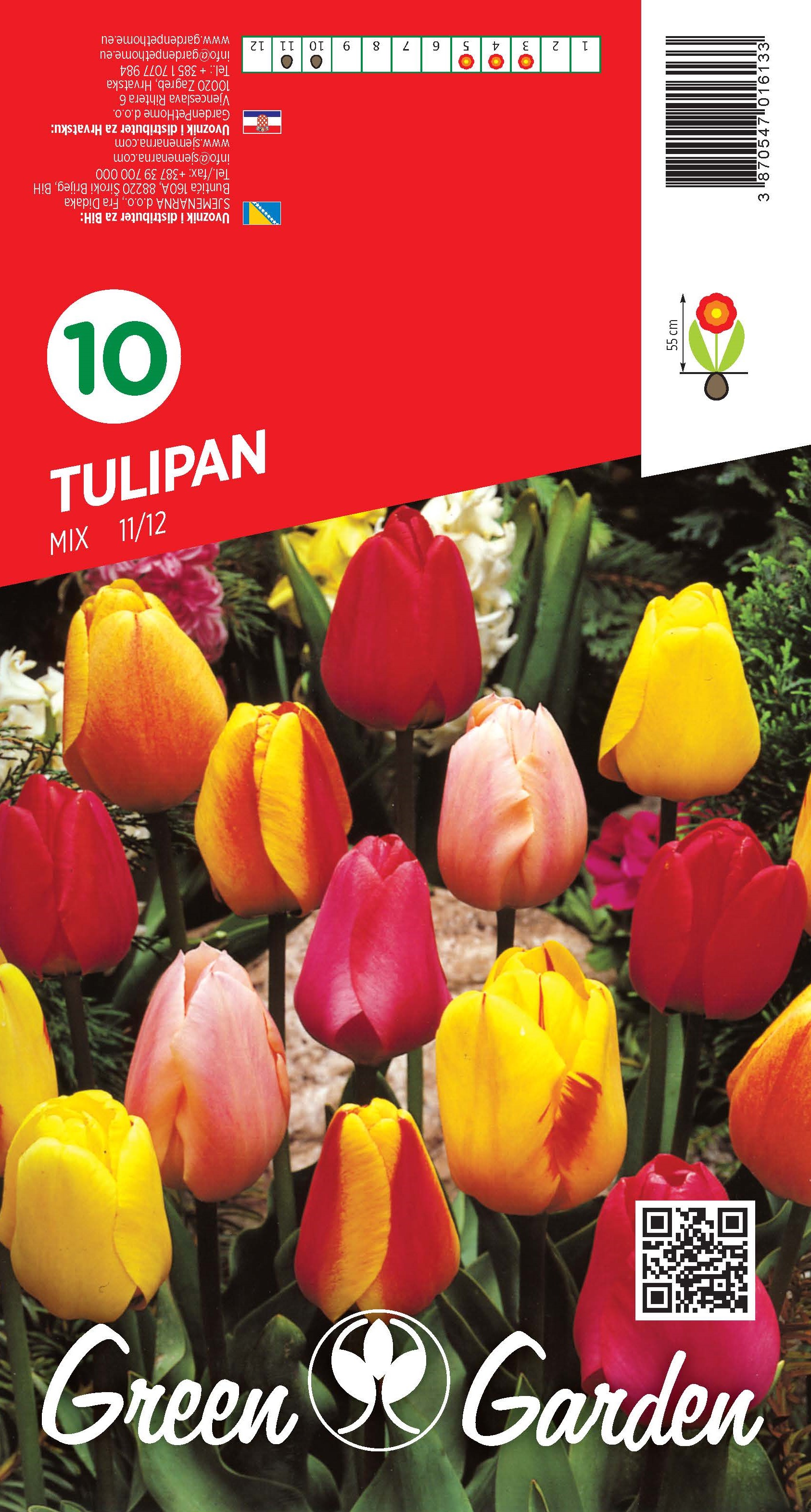 TULIPAN - MIX 11/12 BR.LUK.10