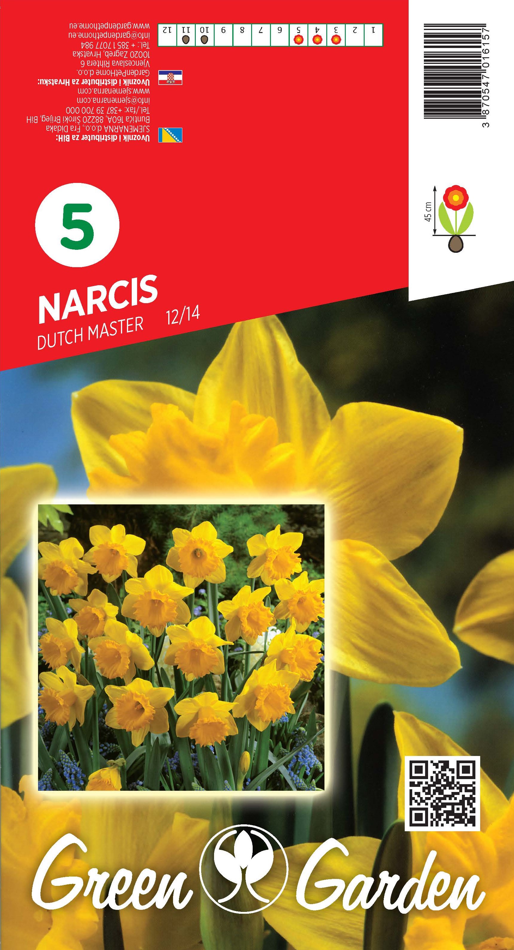 NARCIS - DUTCH MASTER 12/14 BR.LUK.5