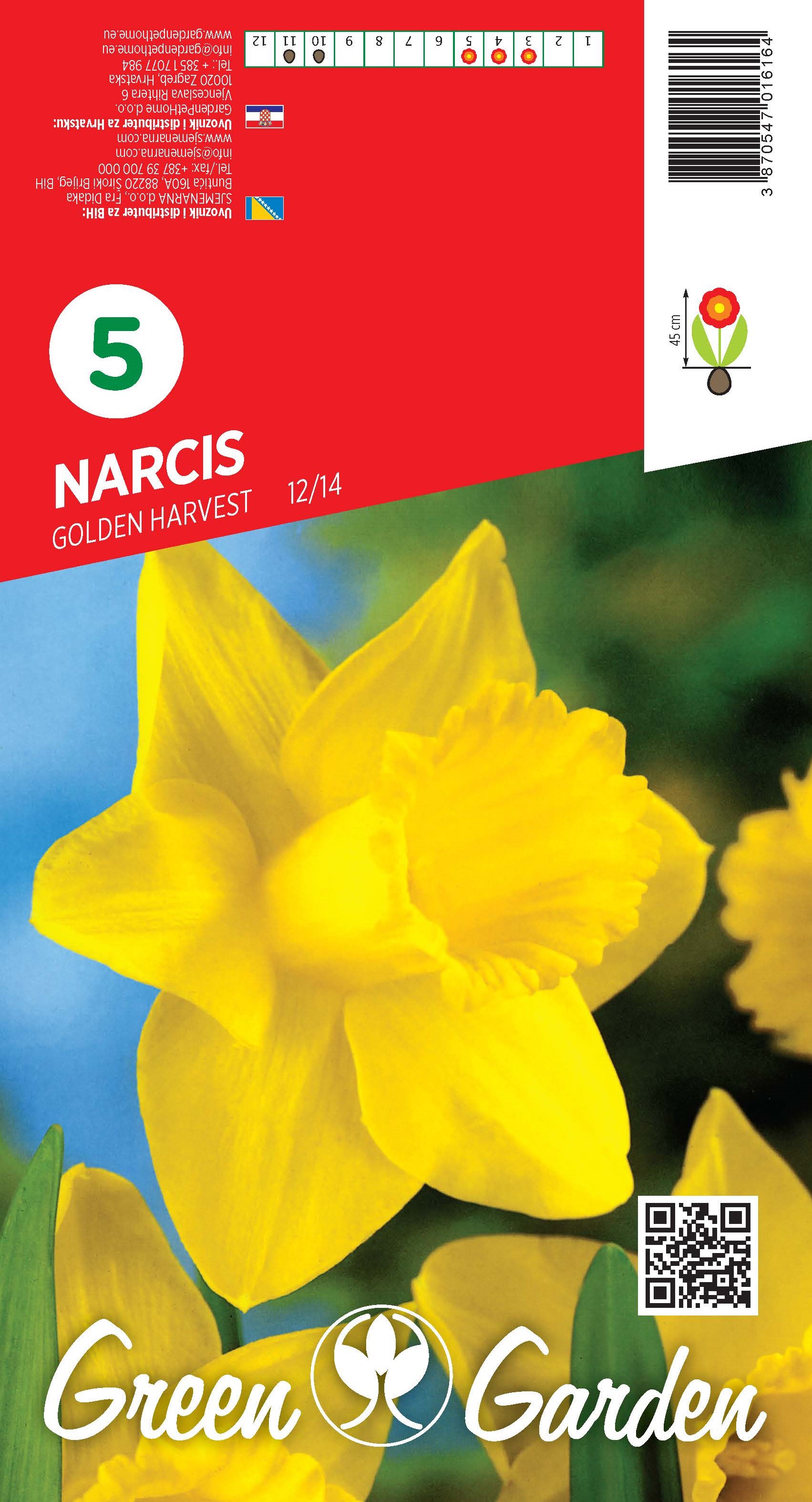NARCIS - GOLDEN HARVEST 12/14 BR.LUK.5