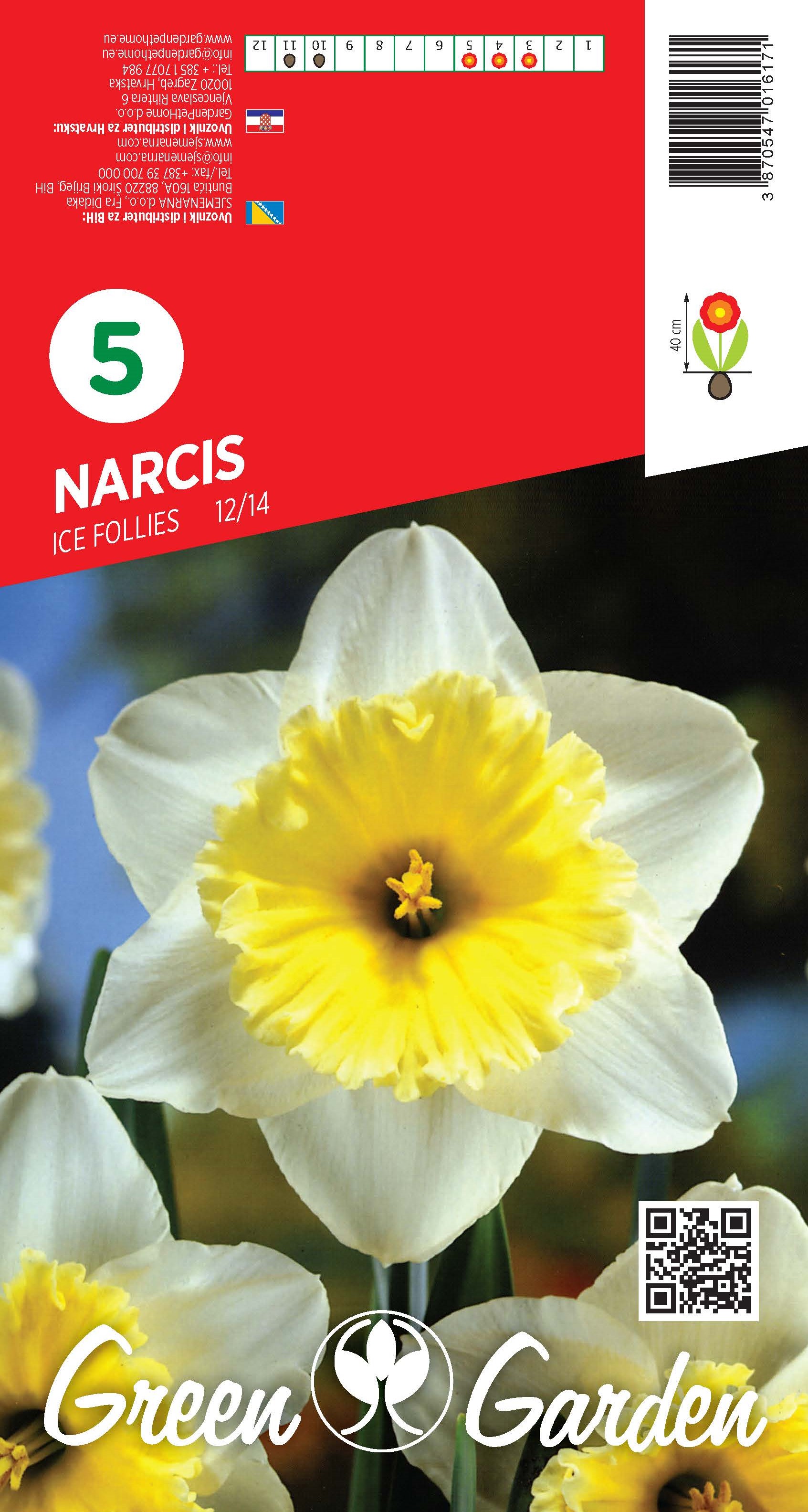 NARCIS - ICE FOLLIES 12/14 BR.LUK.5