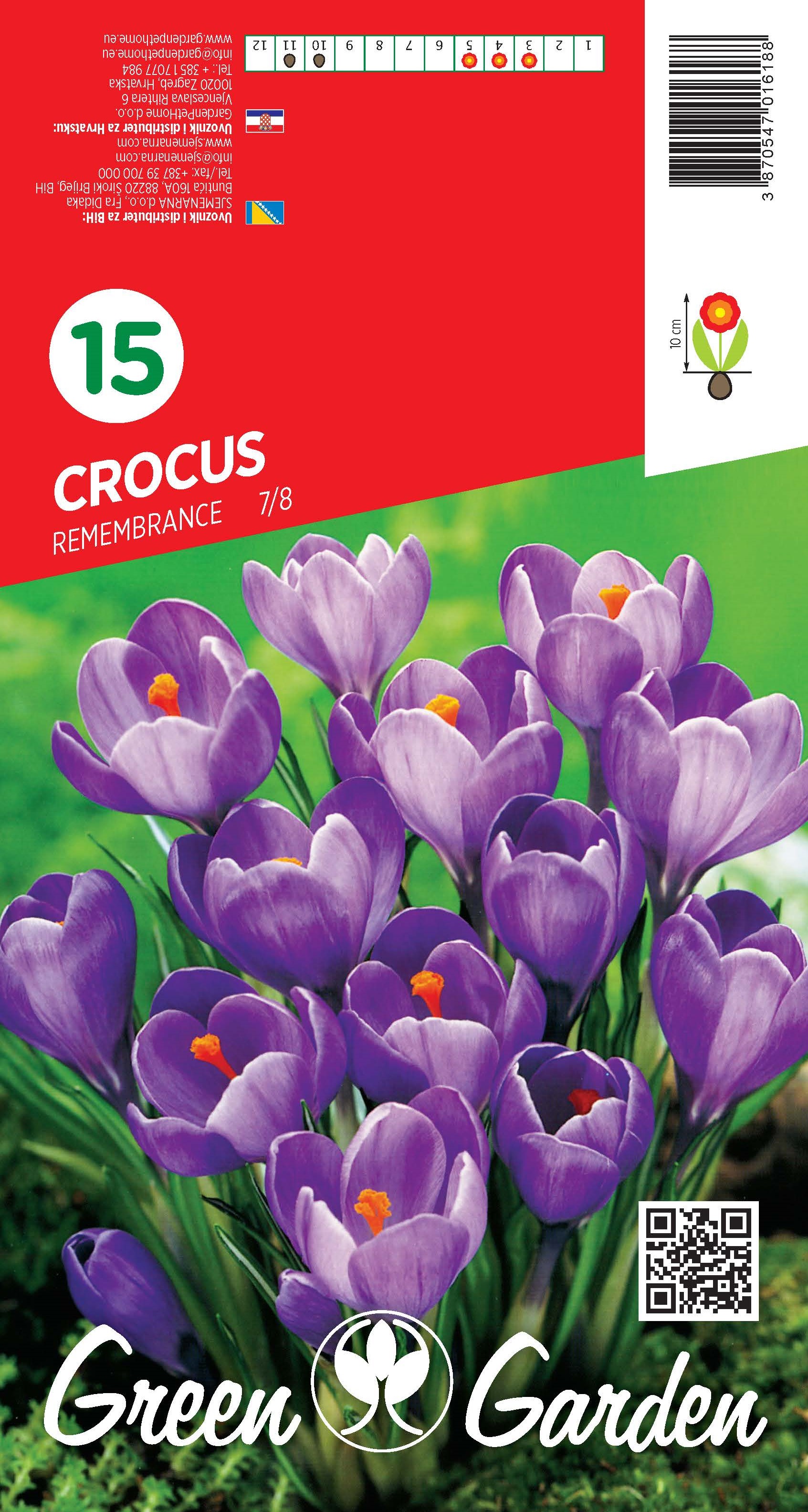 CROCUS - REMEMBRANCE 7/8 BR.LUK.15