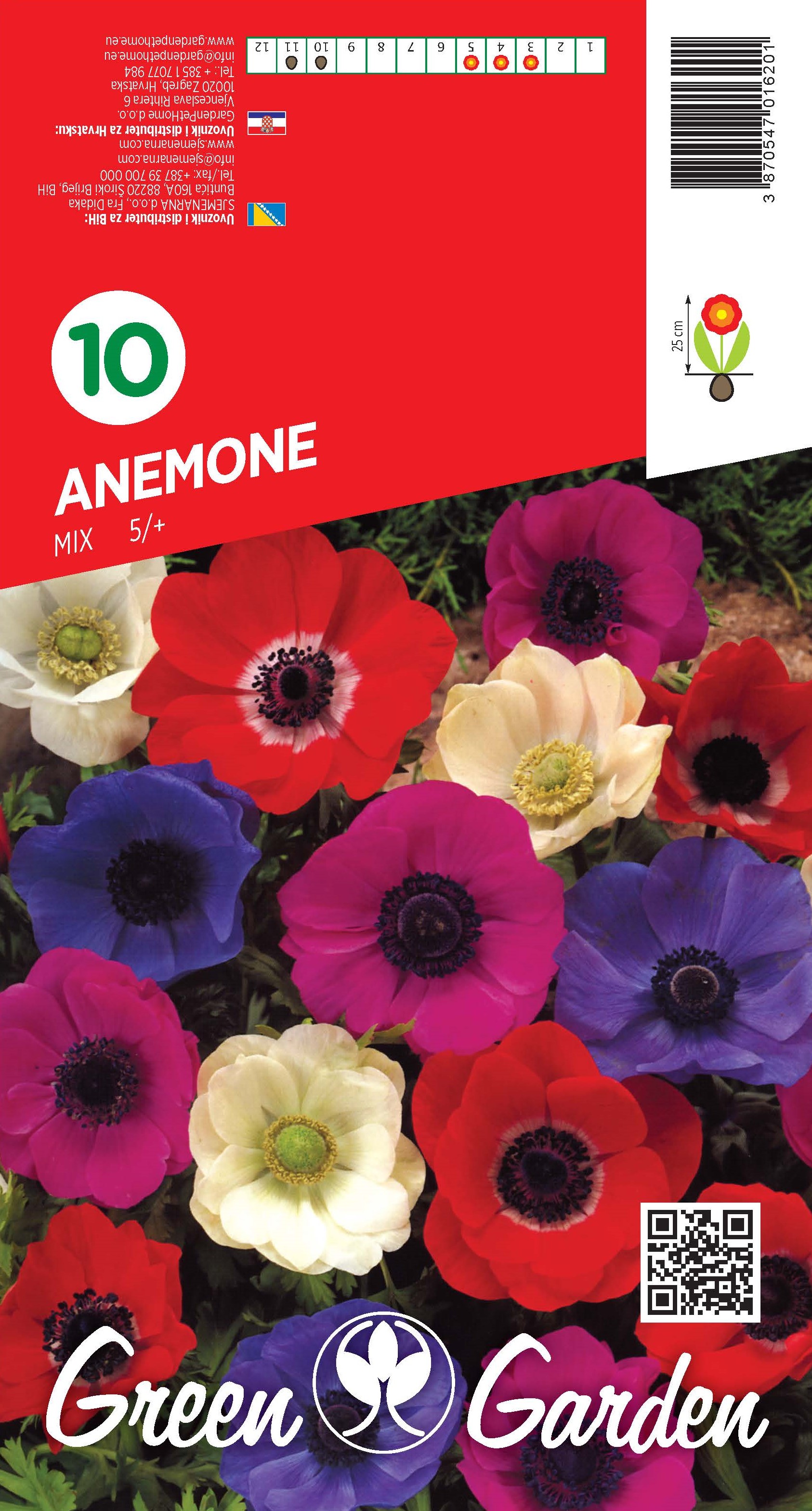 ANEMONE- MIX 5/+ BR.LUK.10