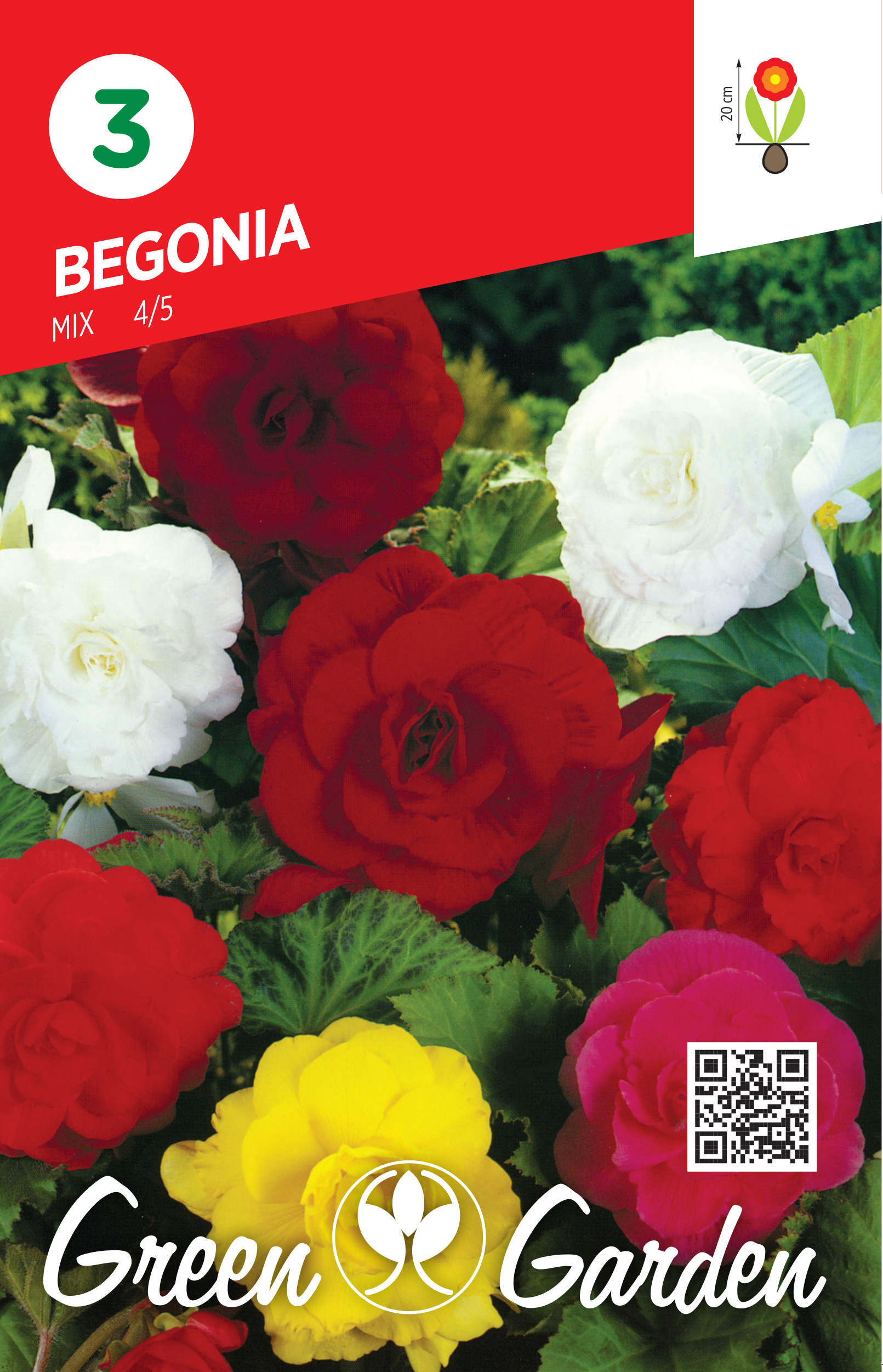 BEGONIA - MIX 4/5 BR.LUK.3