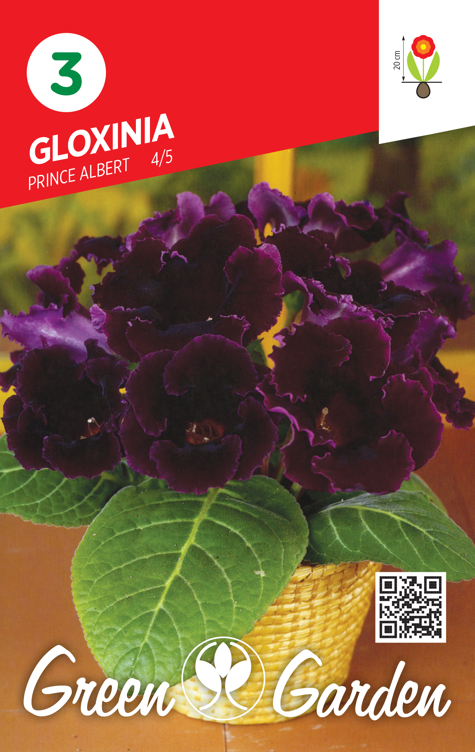 GLOXINIA - PRINCE ALBERT 4/5 BR.LUK.3
