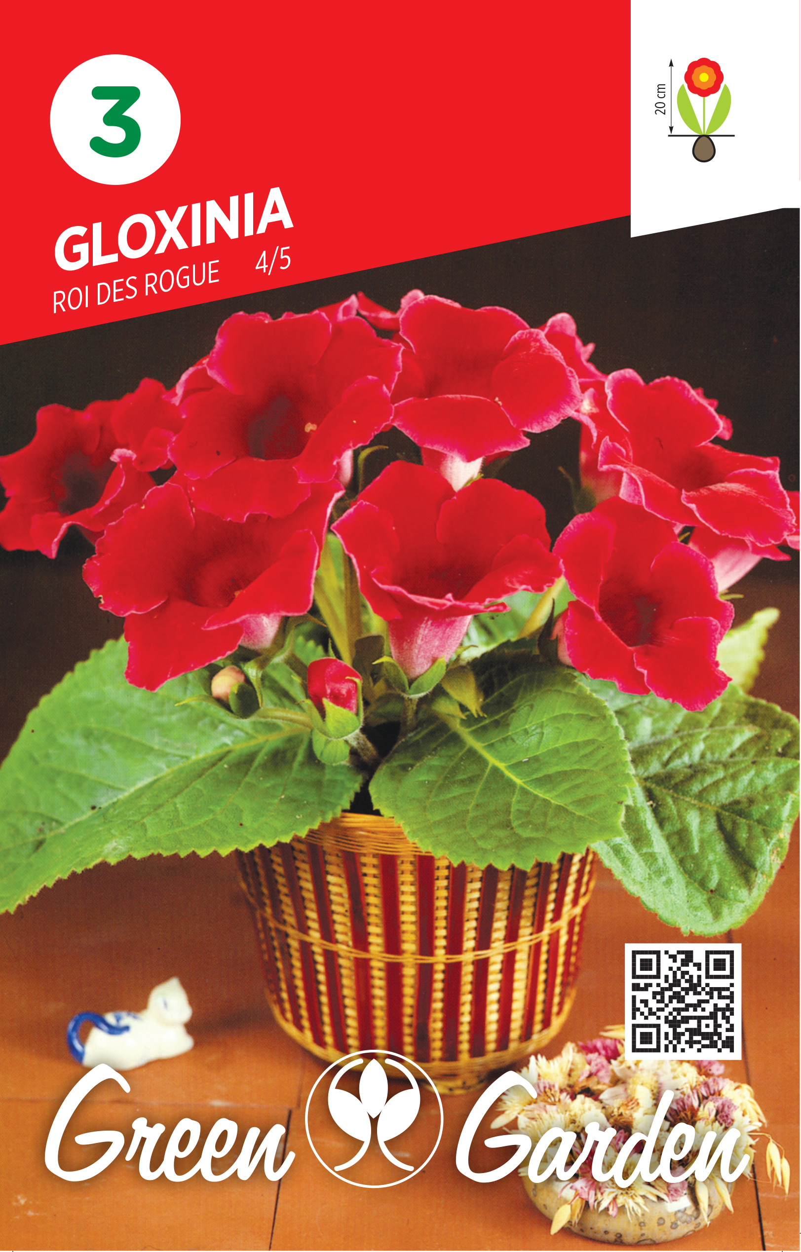 GLOXINIA - ROI DES ROGUE 4/5 BR.LUK.3
