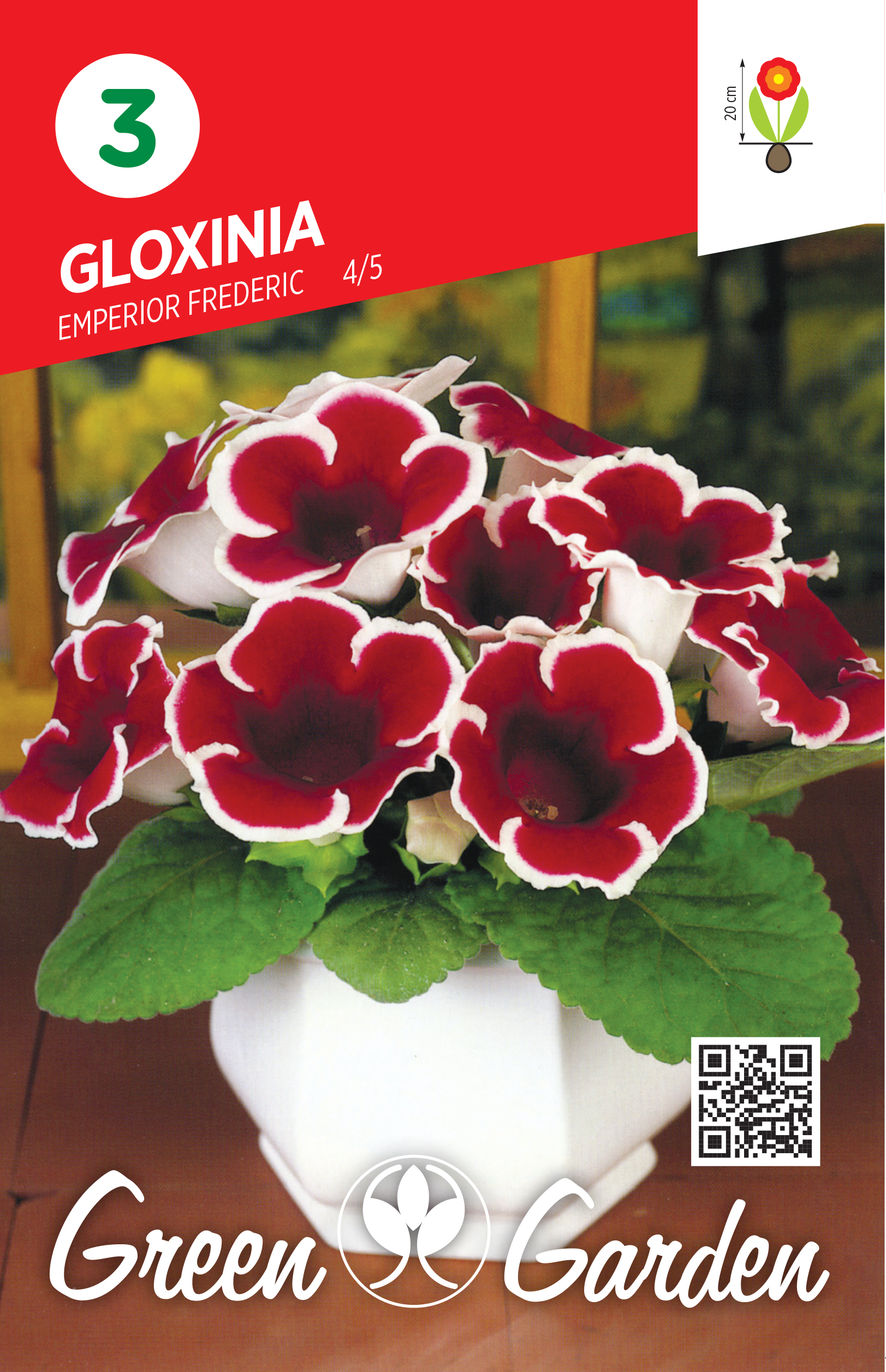 GLOXINIA - EMPEROR FREDERIC 4/5 BR.LUK.3