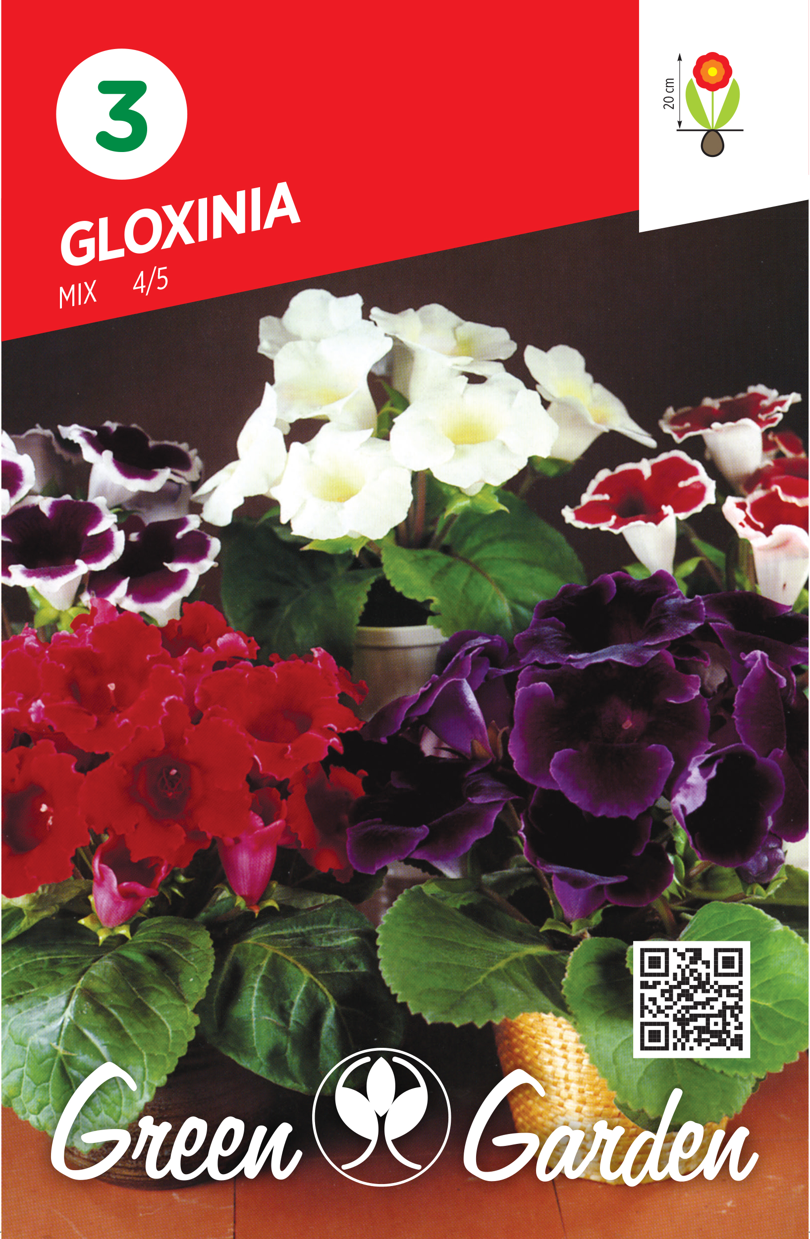 GLOXINIA - MIX 4/5 BR.LUK.3