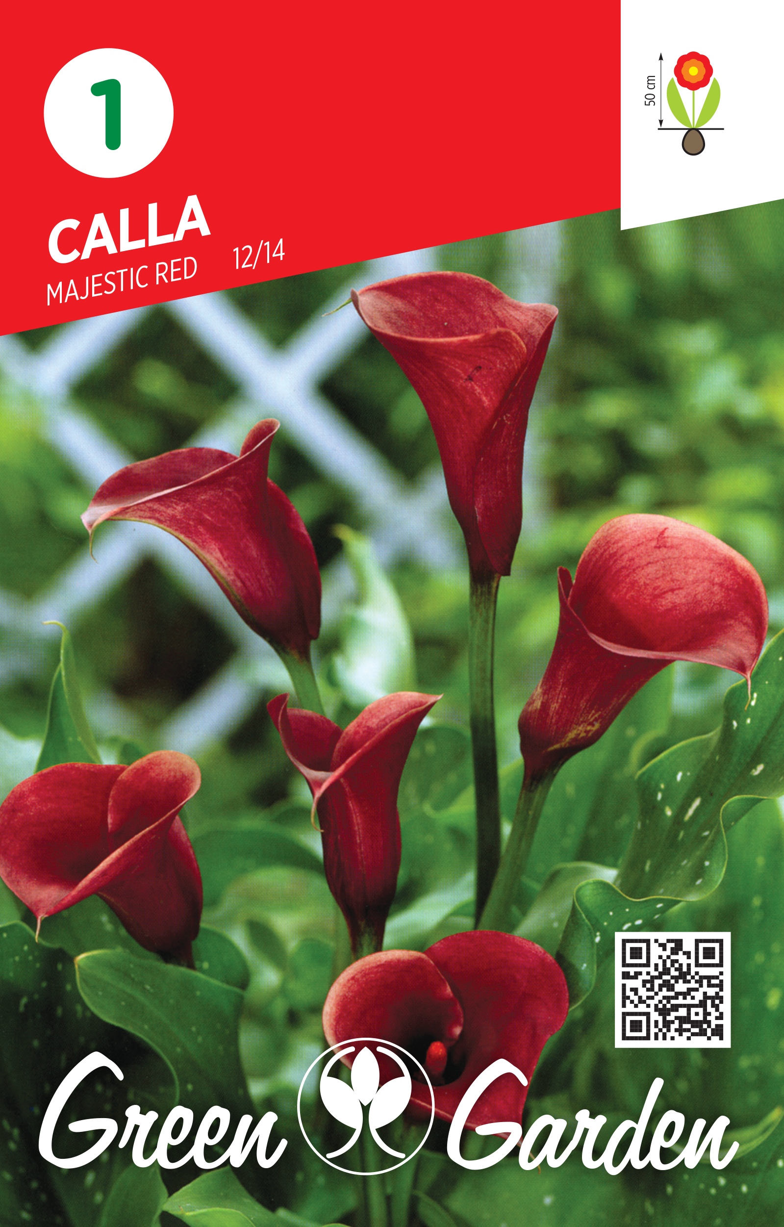 CALLA - MAJESTIC RED 12/14 BR.LUK.1