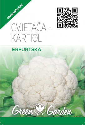 CVJETAČA - ERFURTSKA - MINI