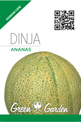 DINJA-MELONE ANANAS - MINI