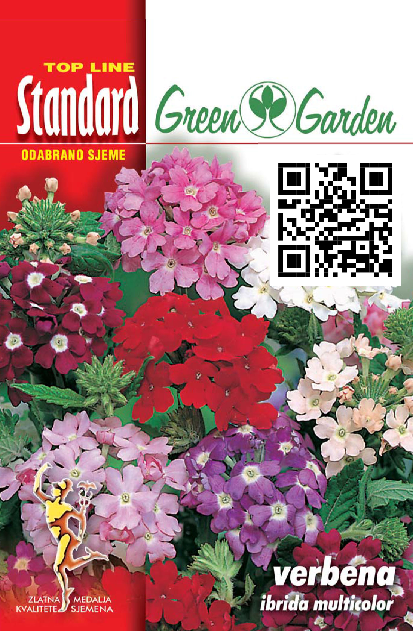 VERBENA - IBRIDA MULTICOLOR - STANDARD
