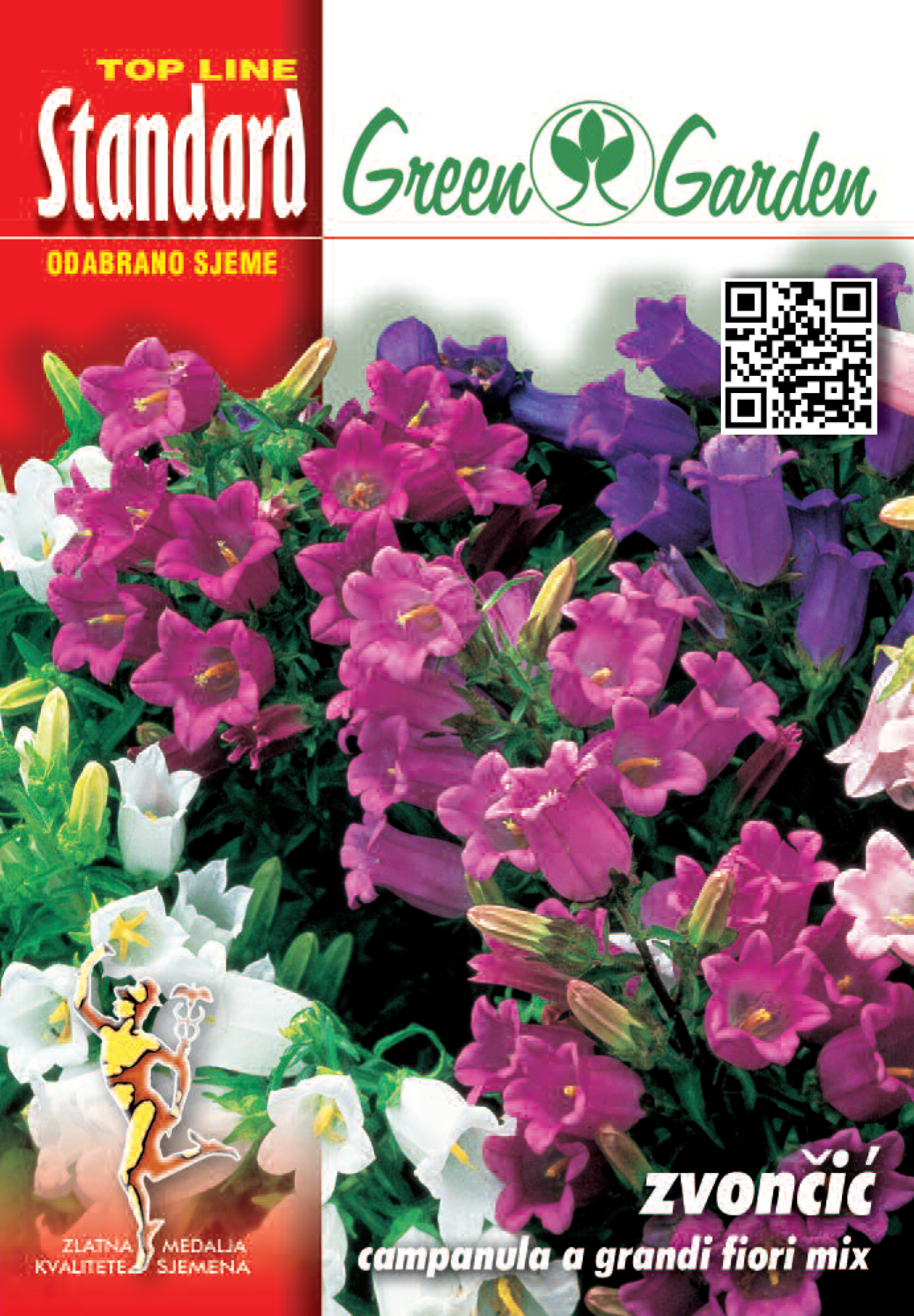 ZVONČIĆ - CAMPANULA GRANDI FIORI MIX - STANDARD