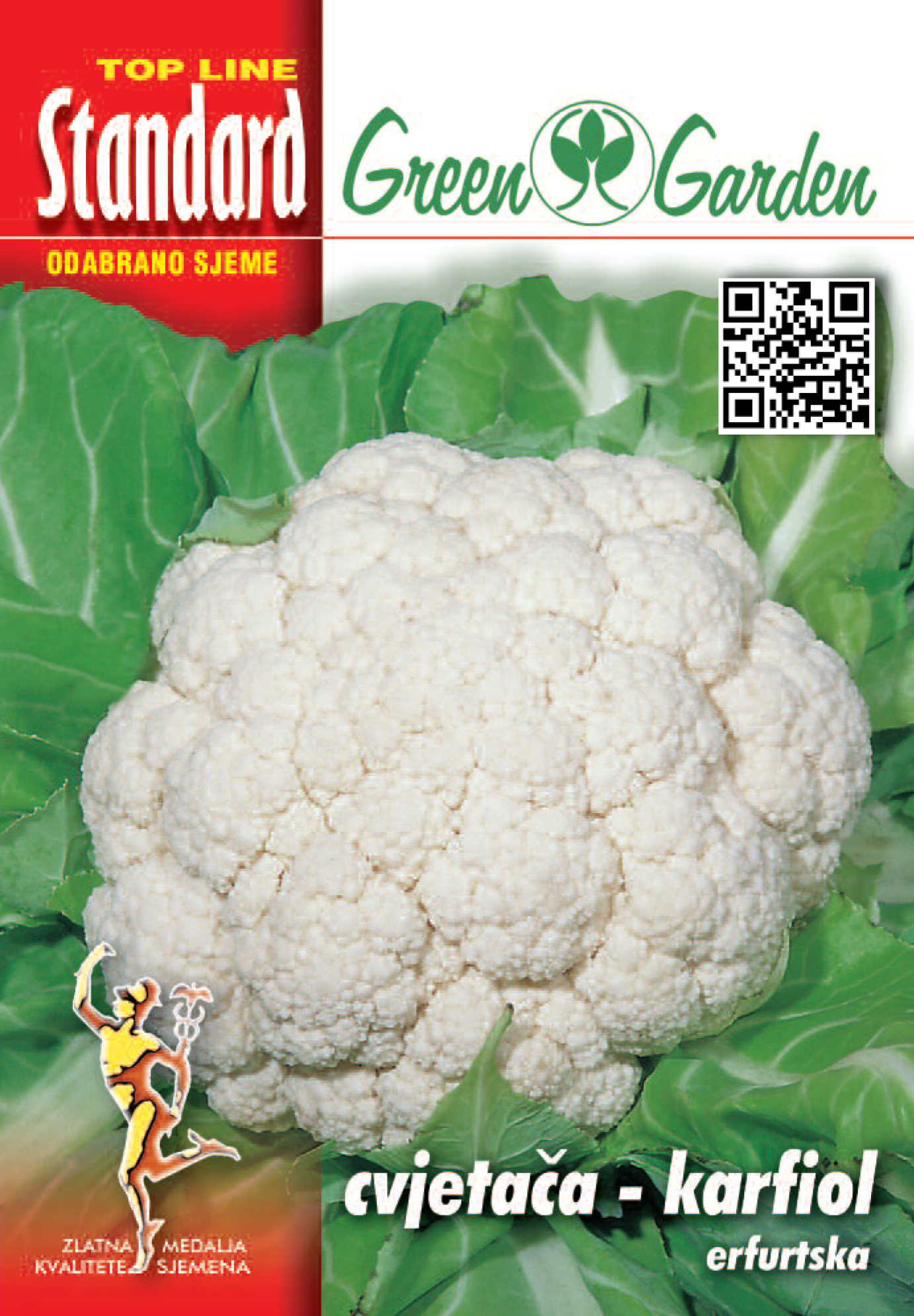 CVJETAČA - ERFURTSKA - STANDARD