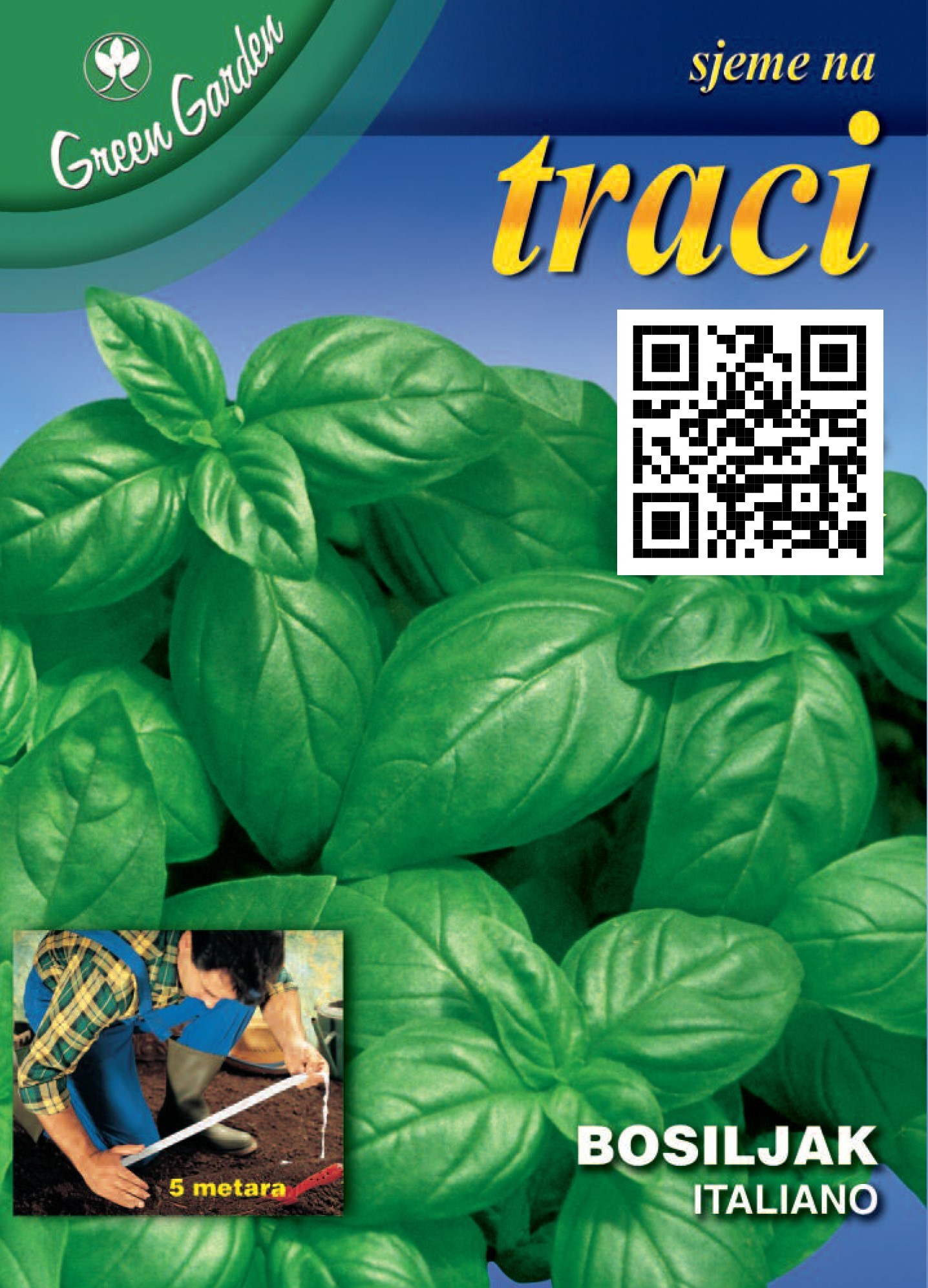 SJEME NA TRACI - BOSILJAK - ITALIANO